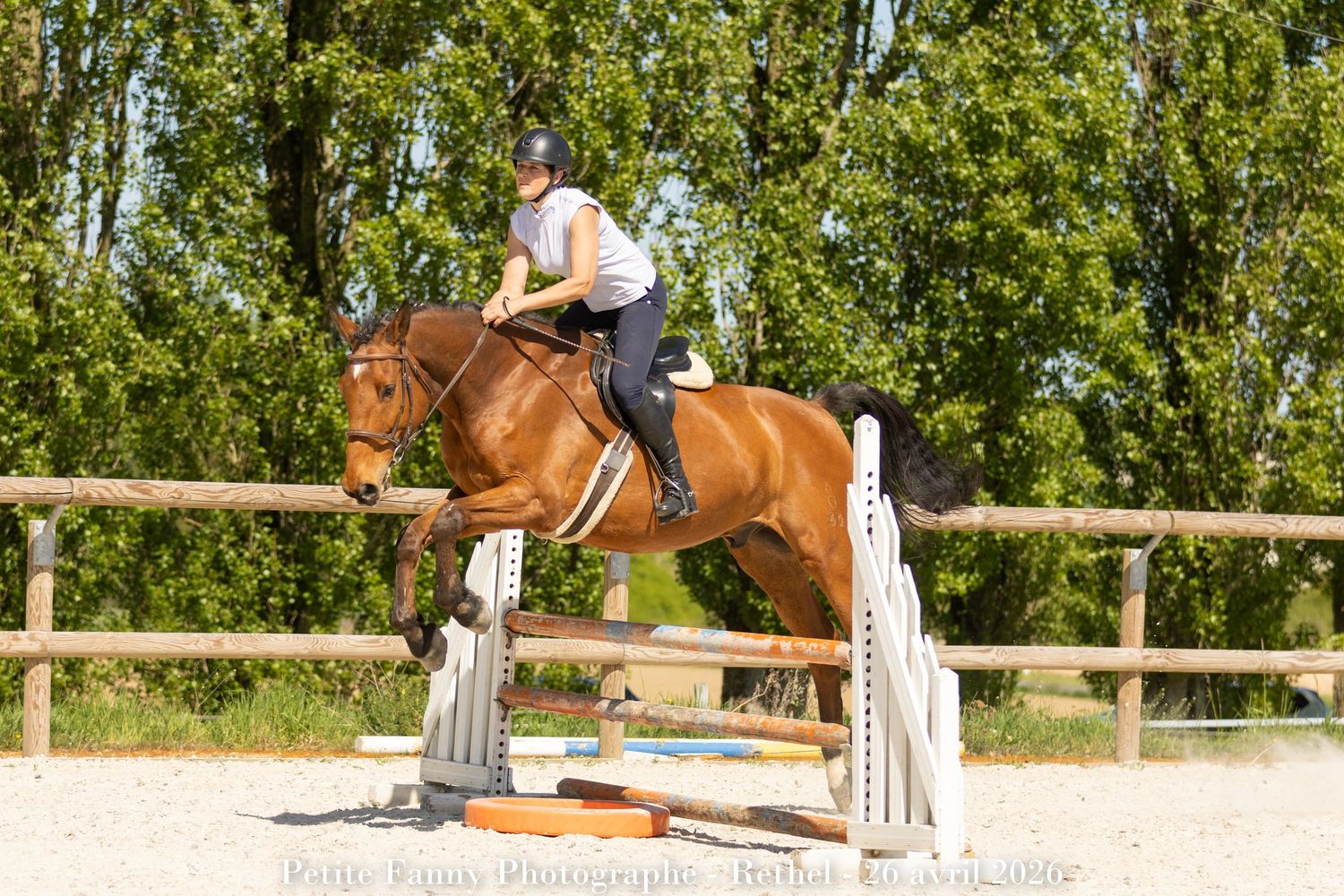 Equestrian rider on a chestnut horse jumping over a hurdle in an outdoor show jumping arena on a sunny day.