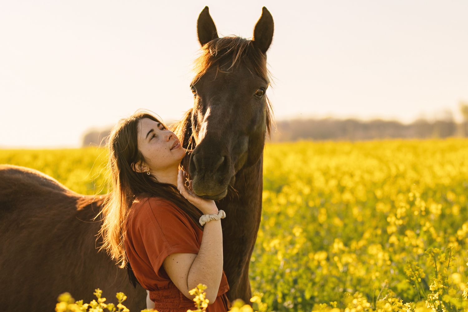 Woman in red shirt kissing a dark horse in a sunny yellow flower field.