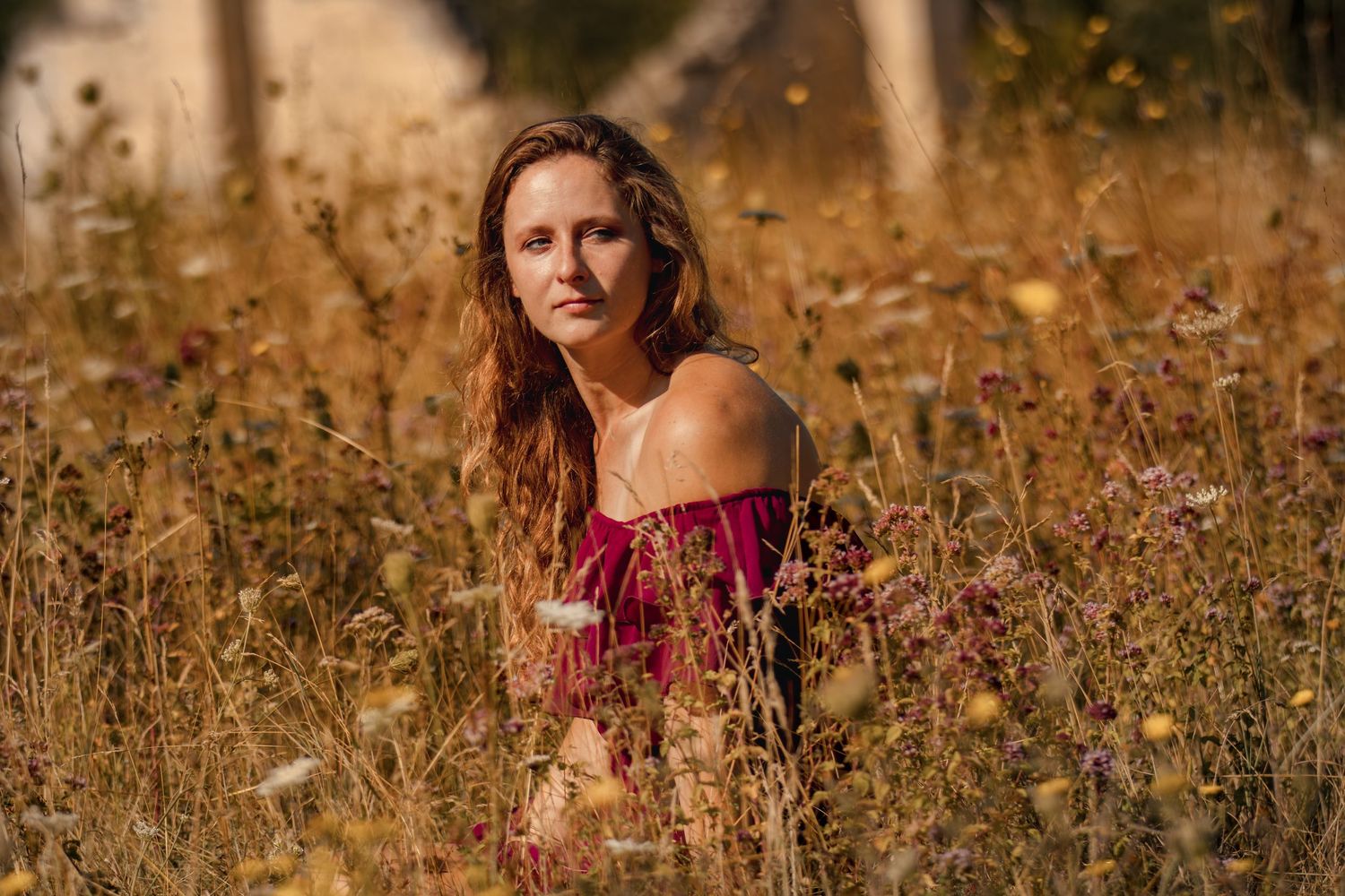 A young woman with long auburn hair sits in a golden wildflower field wearing a red off-shoulder top.