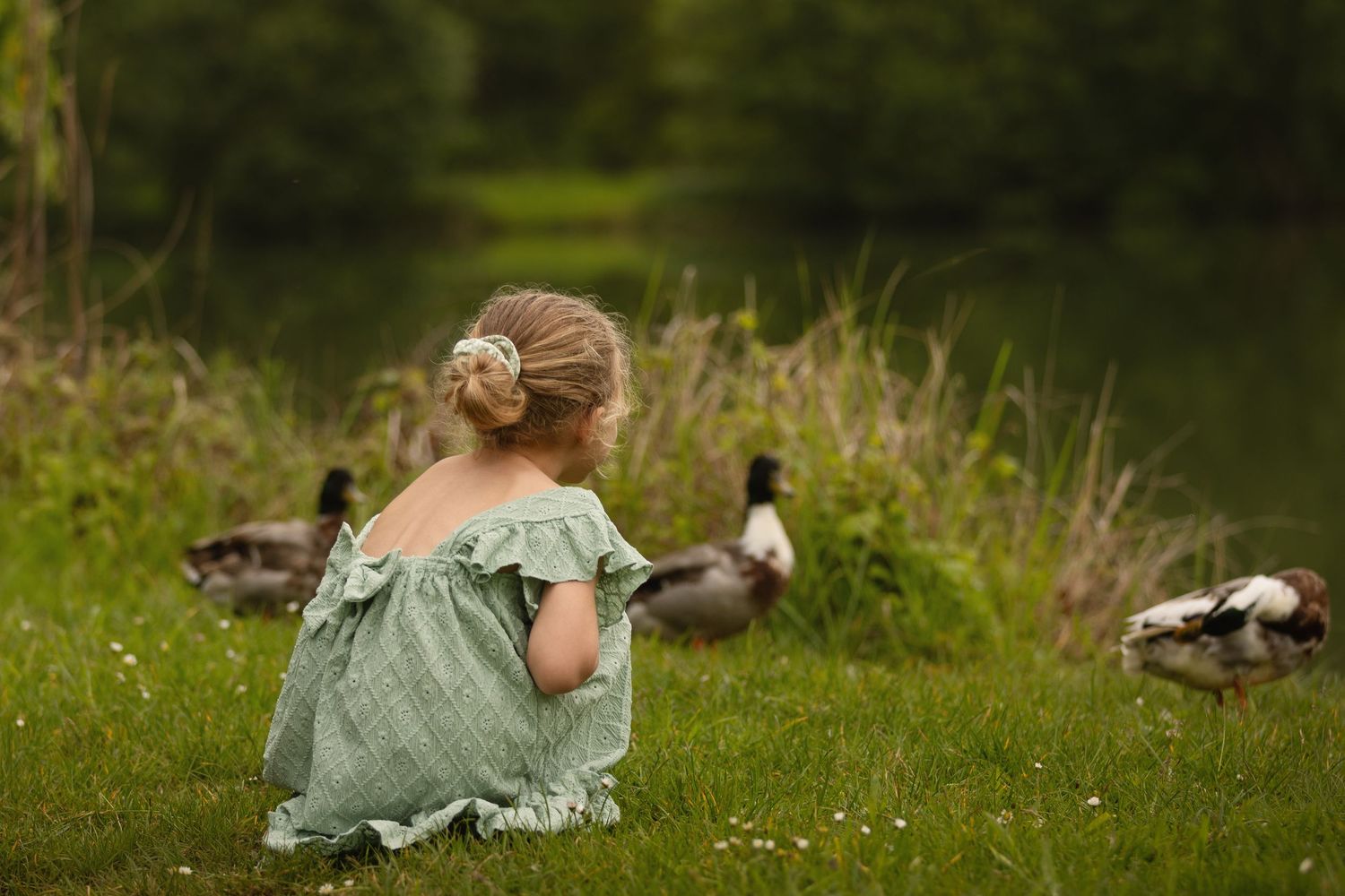 Young girl in green dress sitting on grass watching ducks by a pond.