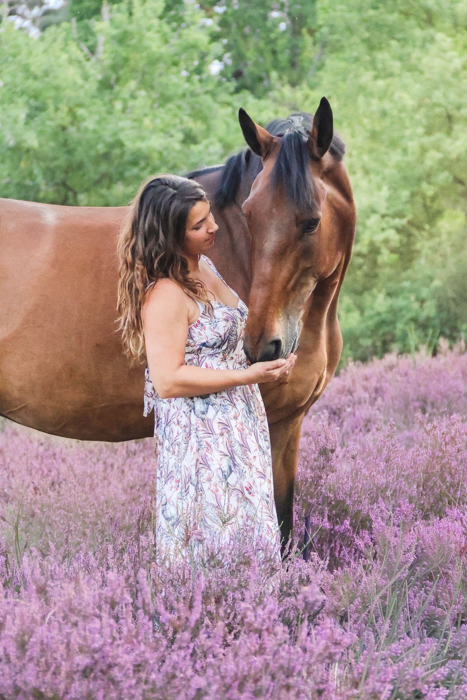 Séance lifestyle — jeune femme en robe fleurie face à son cheval brun dans les bruyères, photographe Aisne Guignicourt.
