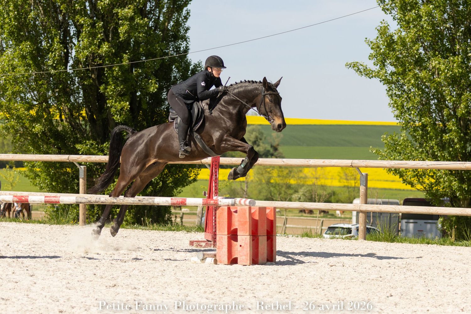 A rider in black attire jumps a dark horse over a red obstacle in an outdoor equestrian arena.