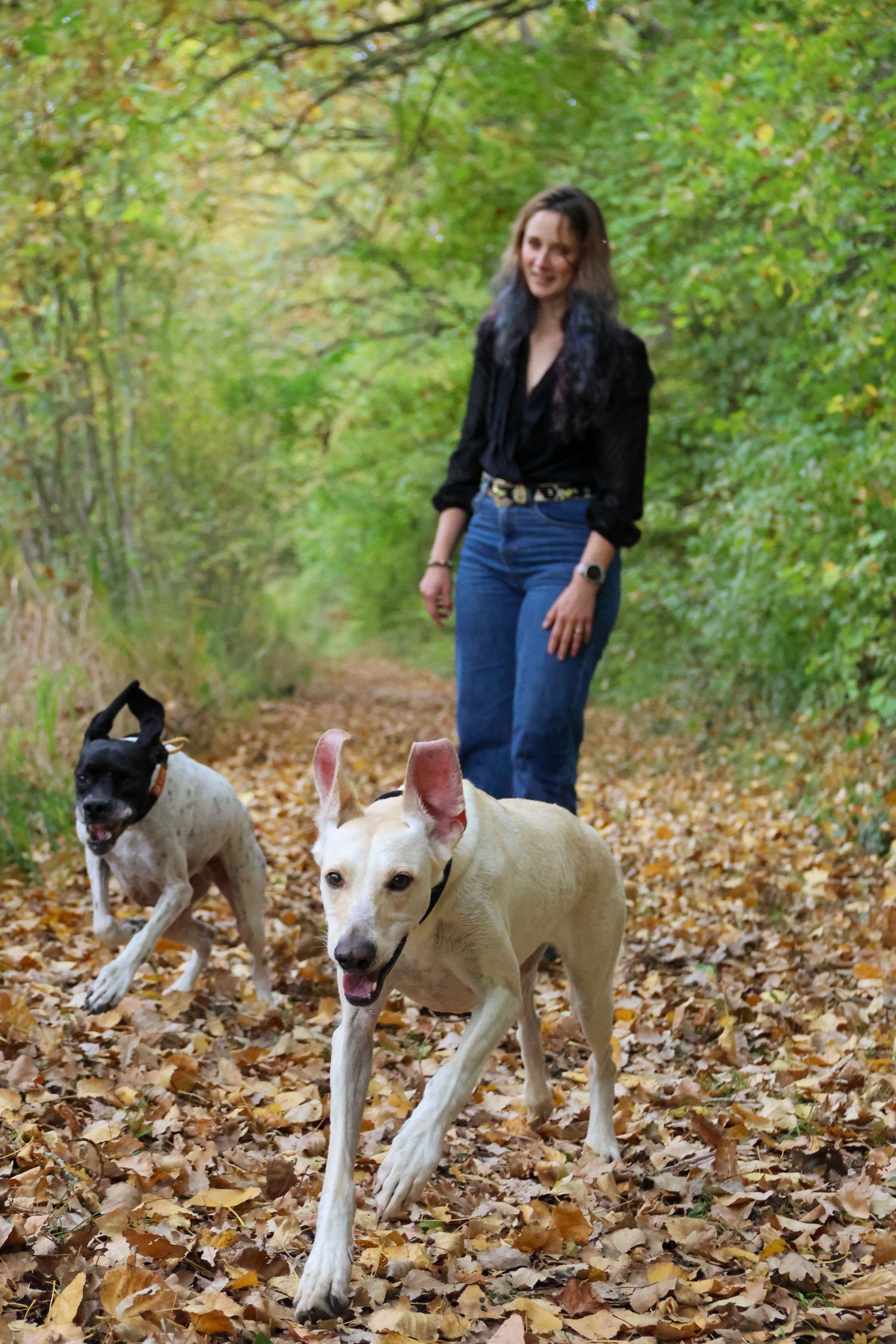 Woman in black shirt walking two dogs on a leaf-covered autumn forest trail.