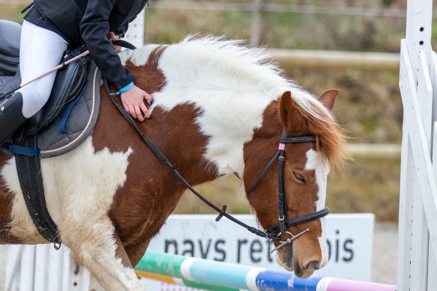 Concours de saut d'obstacle
