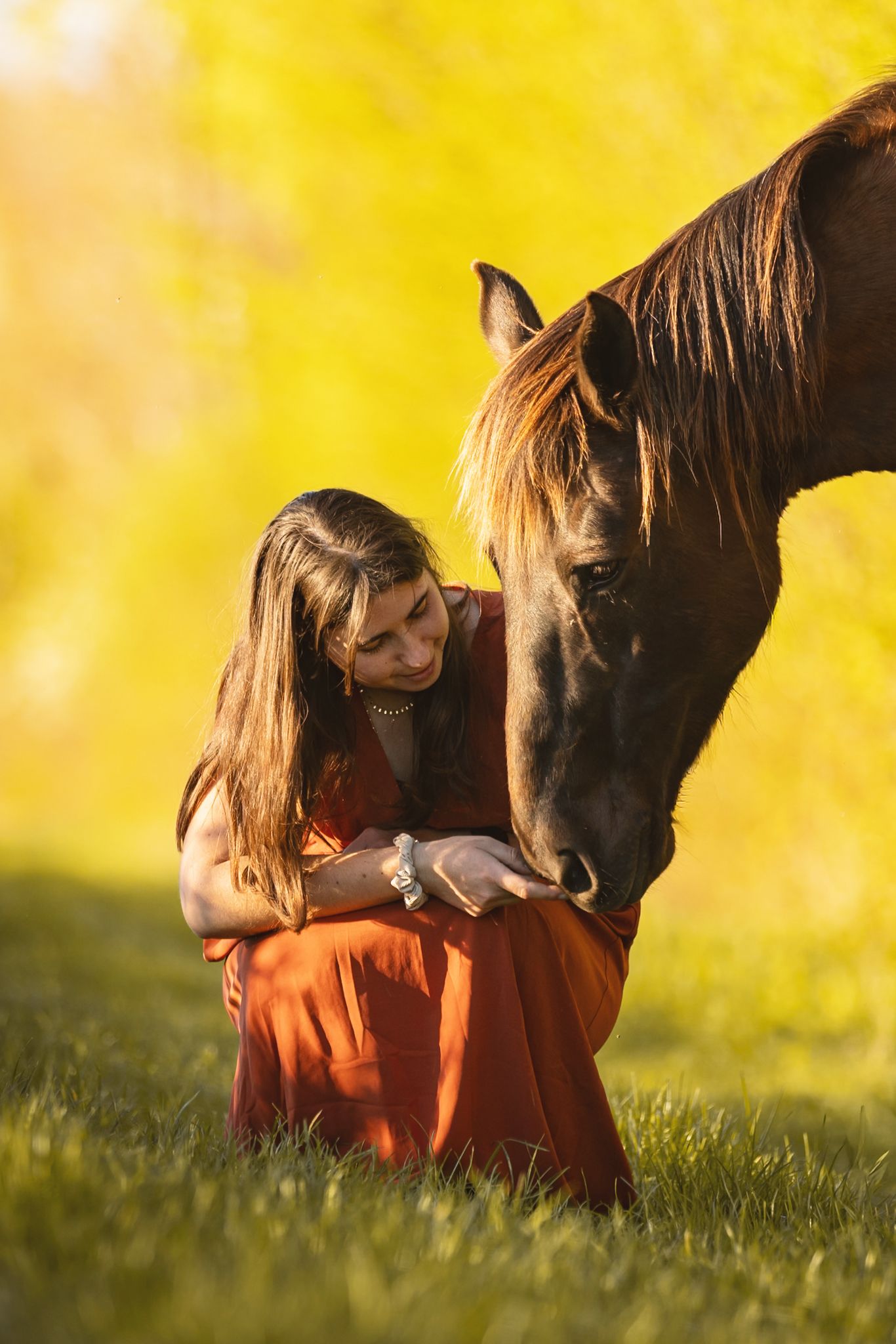 Woman in red dress kneeling on grass, gently feeding a brown horse in a sunlit golden meadow.
