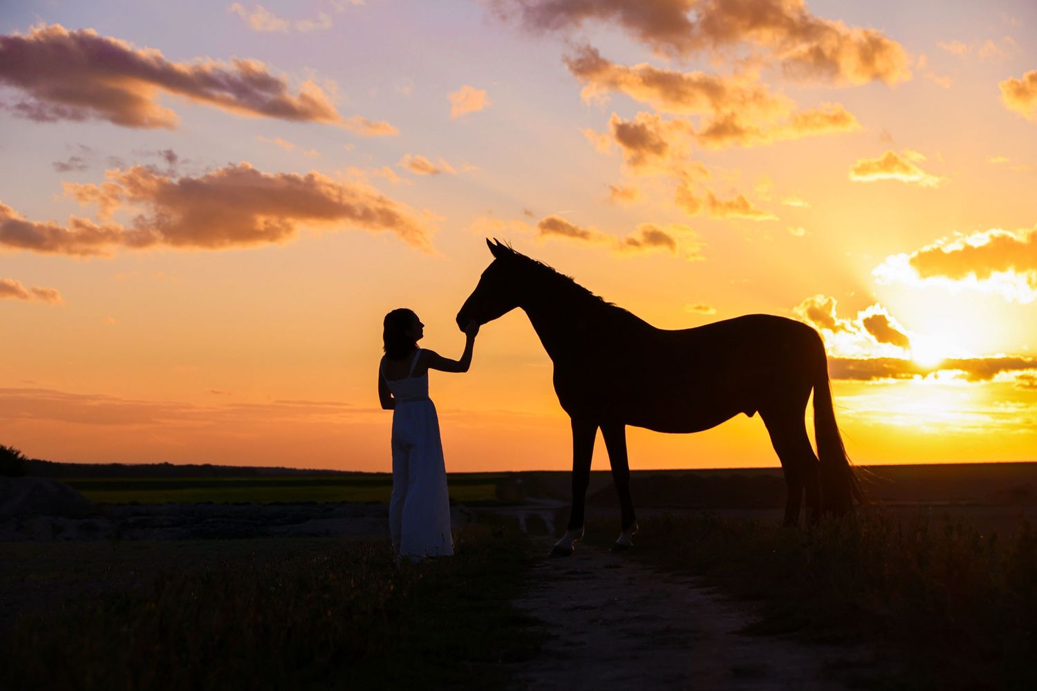 Silhouette of woman in white dress touching horse at vibrant orange and purple sunset.