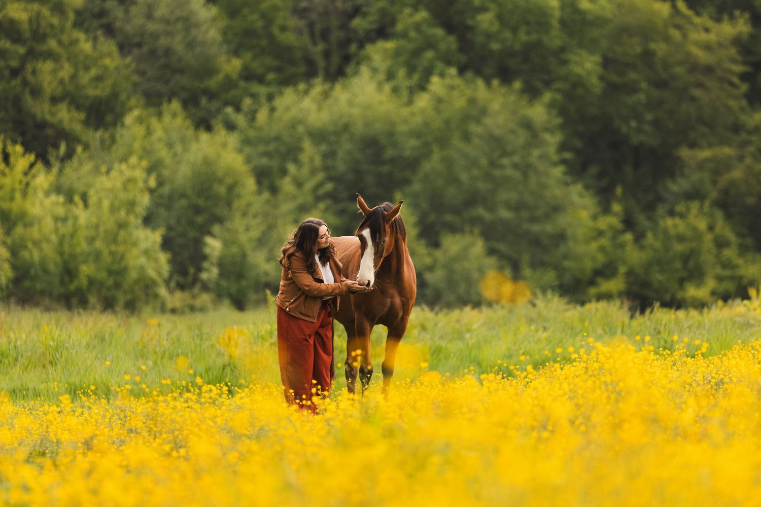 Woman in red dress standing with a brown horse in a vibrant yellow wildflower field with green trees behind.