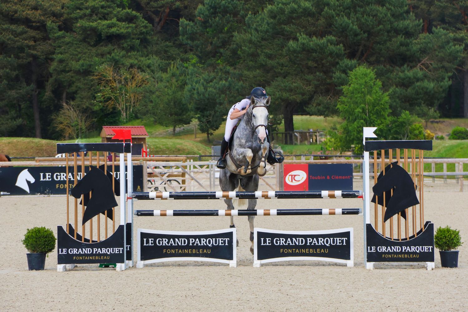 Séance cheval — cavalière sur cheval gris sautant des barres colorées au concours équestre Le Grand Parquet, photographe Aisne.