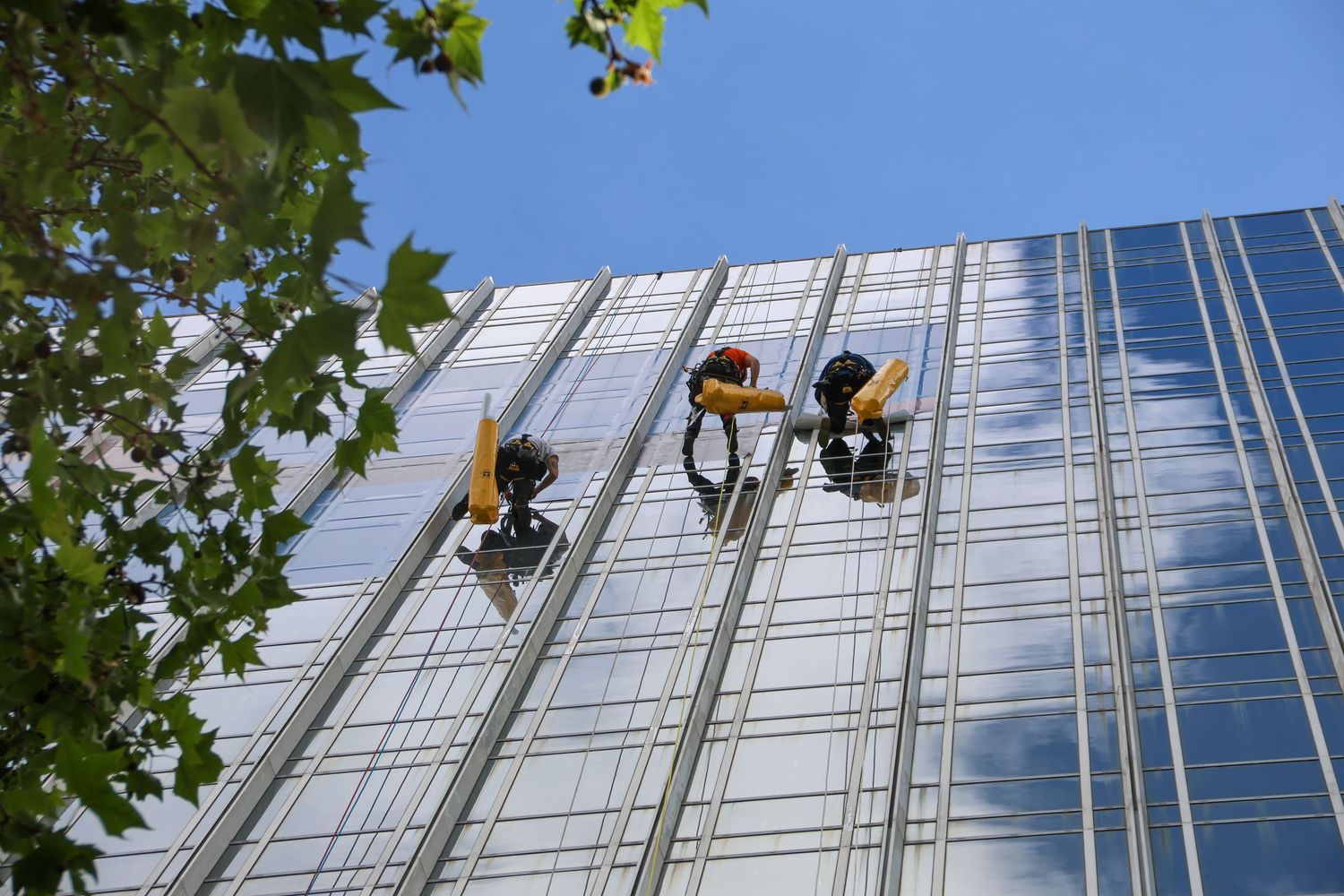Two window washers rappel down a tall glass skyscraper facade on a sunny day with blue sky and green trees.
