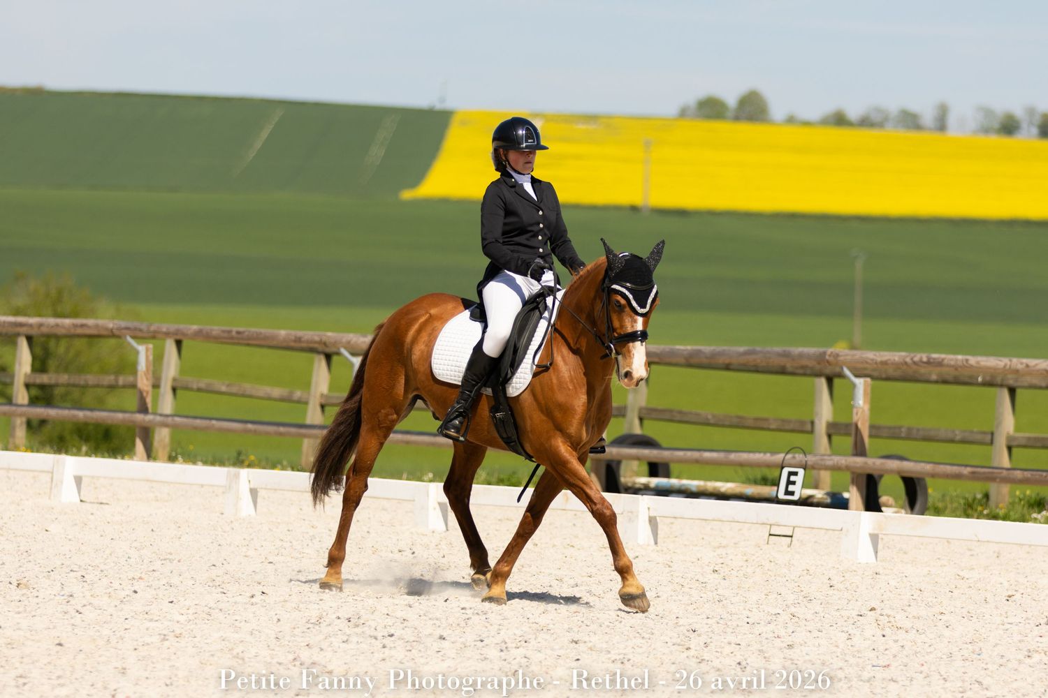 Equestrian rider in formal attire performing dressage on a chestnut horse in an outdoor arena with green fields.