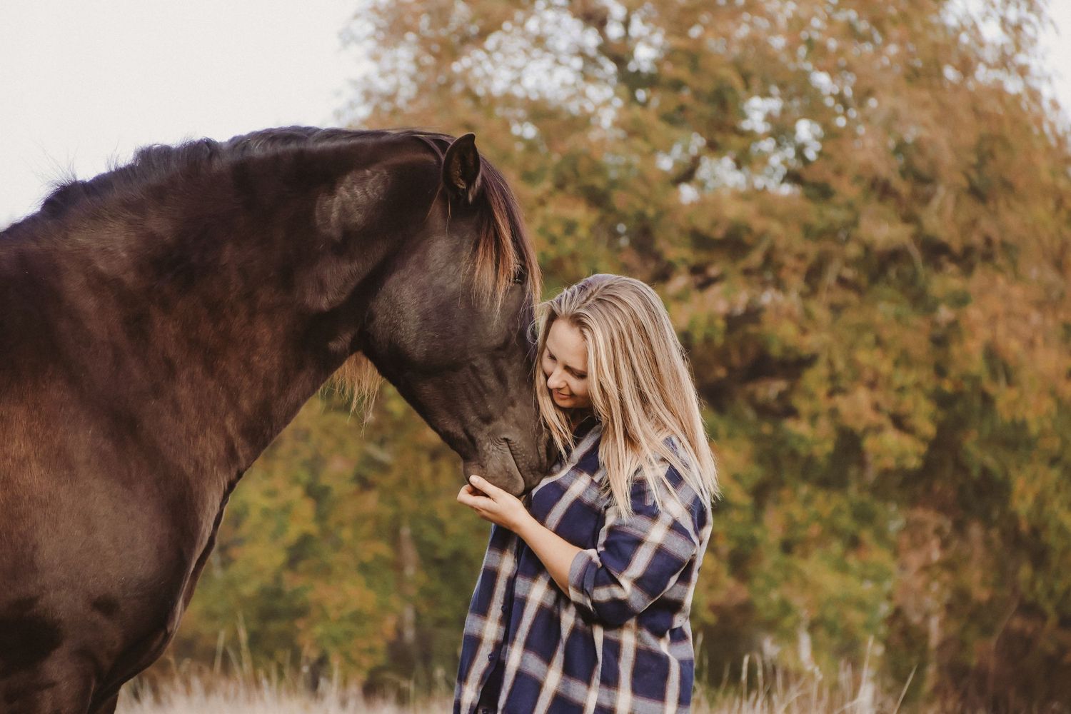 Blonde woman in plaid shirt tenderly bonding with a dark brown horse in autumn.