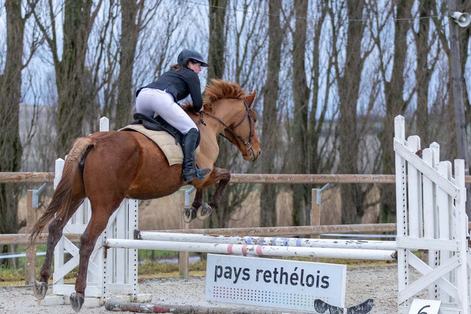 Concours de saut d'obstacle