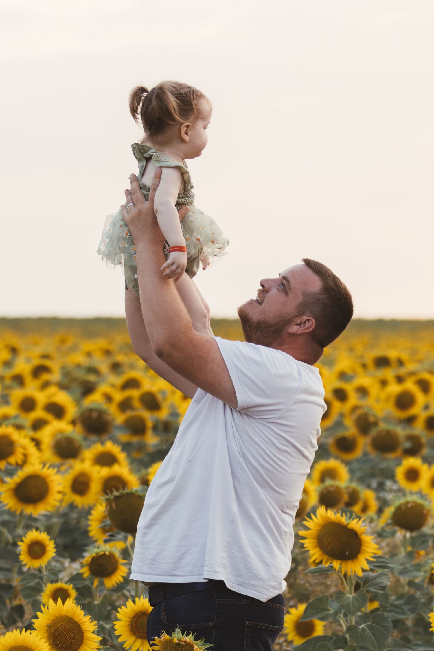 Father lifting young daughter in sunflower field, sharing joyful moment at sunset.