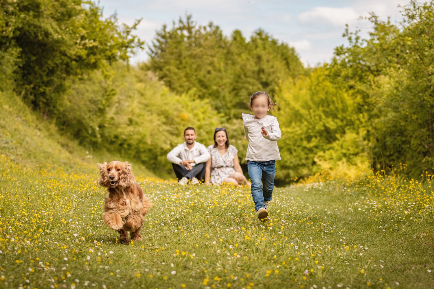 Family with a golden dog running through a sunny wildflower meadow surrounded by lush green trees.
