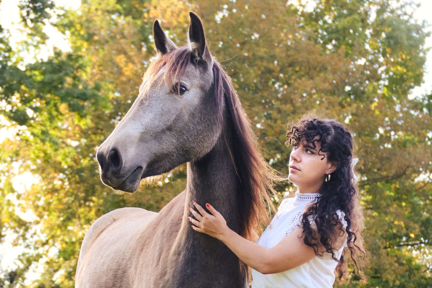 Woman in white dress gently stroking gray horse in autumn park.