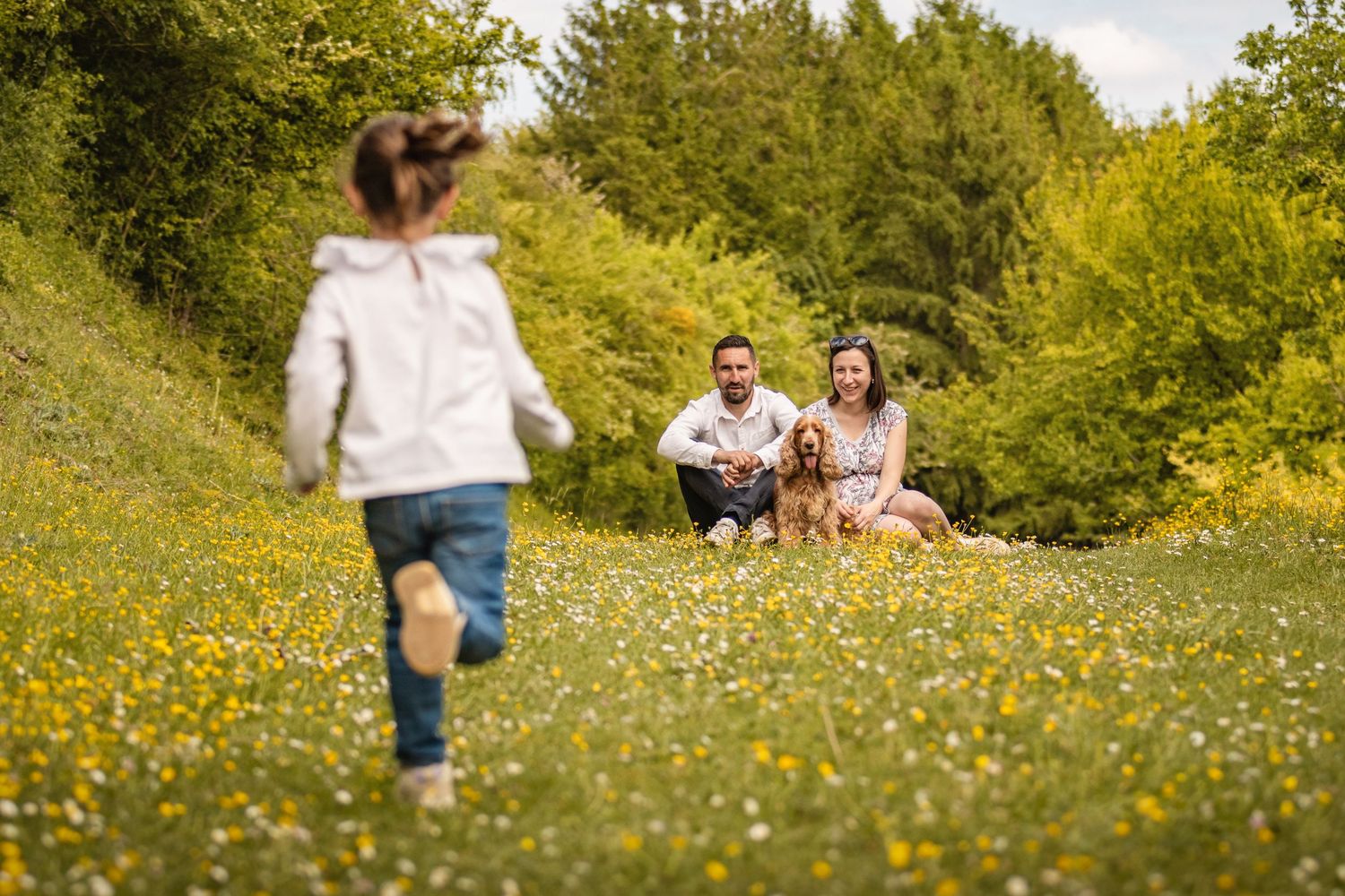 Family with golden retriever dog enjoying sunny day in wildflower meadow as young child runs toward parents.