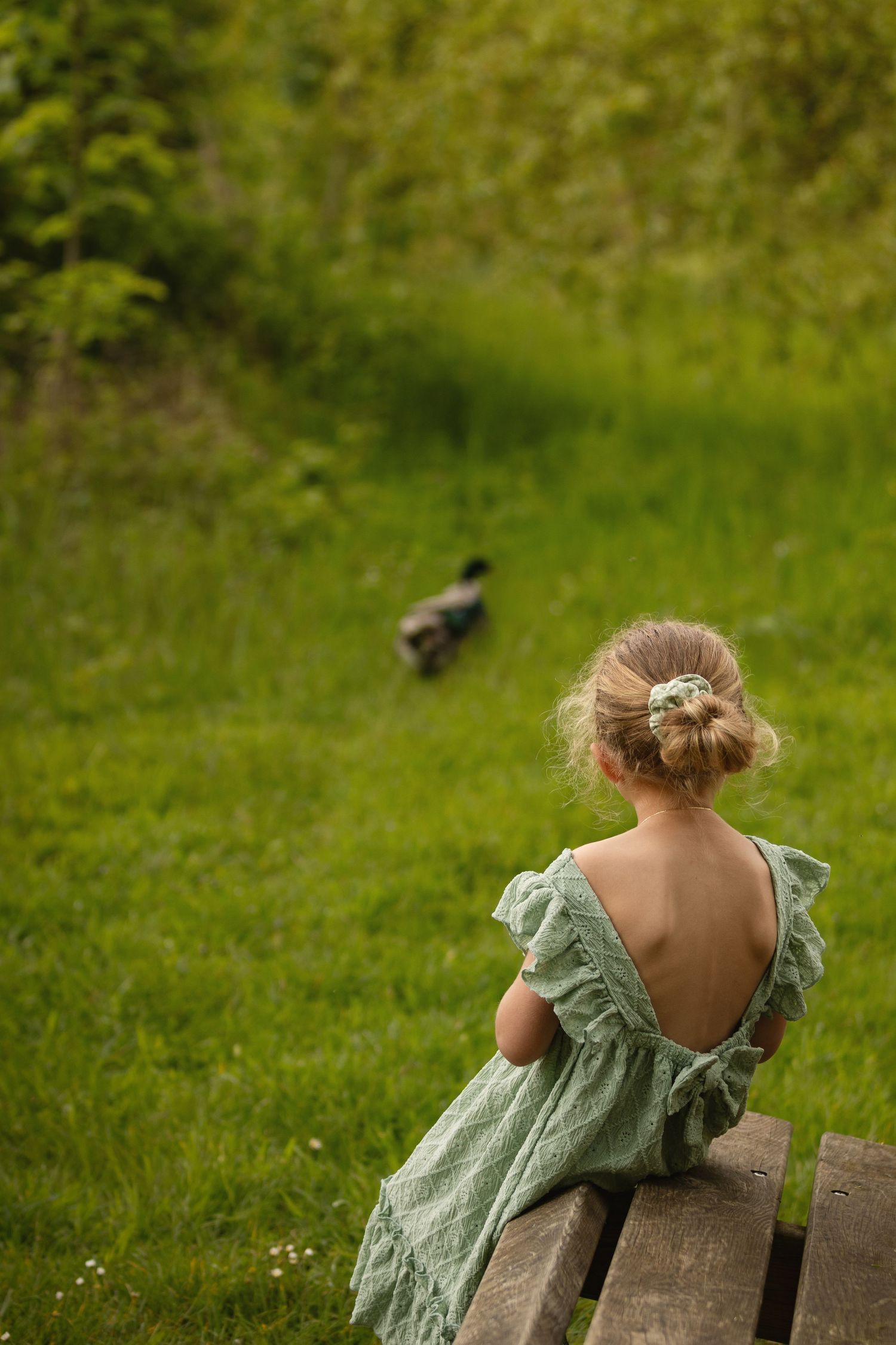 Young girl in a backless green dress sitting on a wooden bench, watching a duck in a lush green meadow.