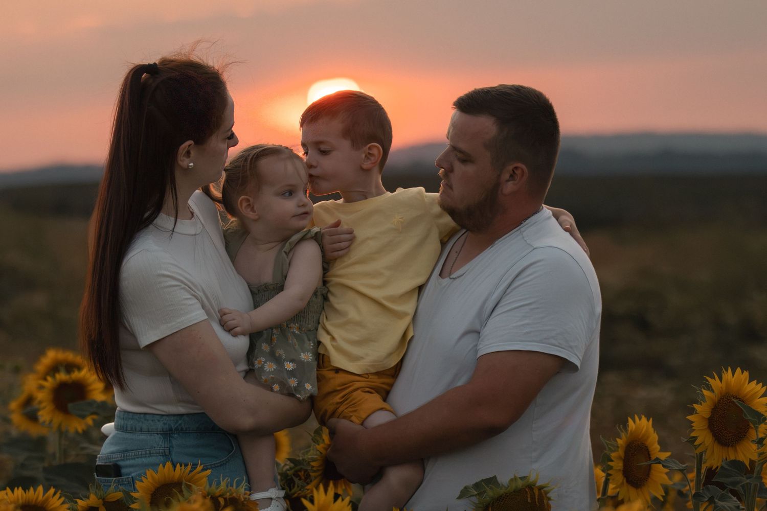 Family of four with two young children sharing a tender moment in a sunflower field at golden sunset.