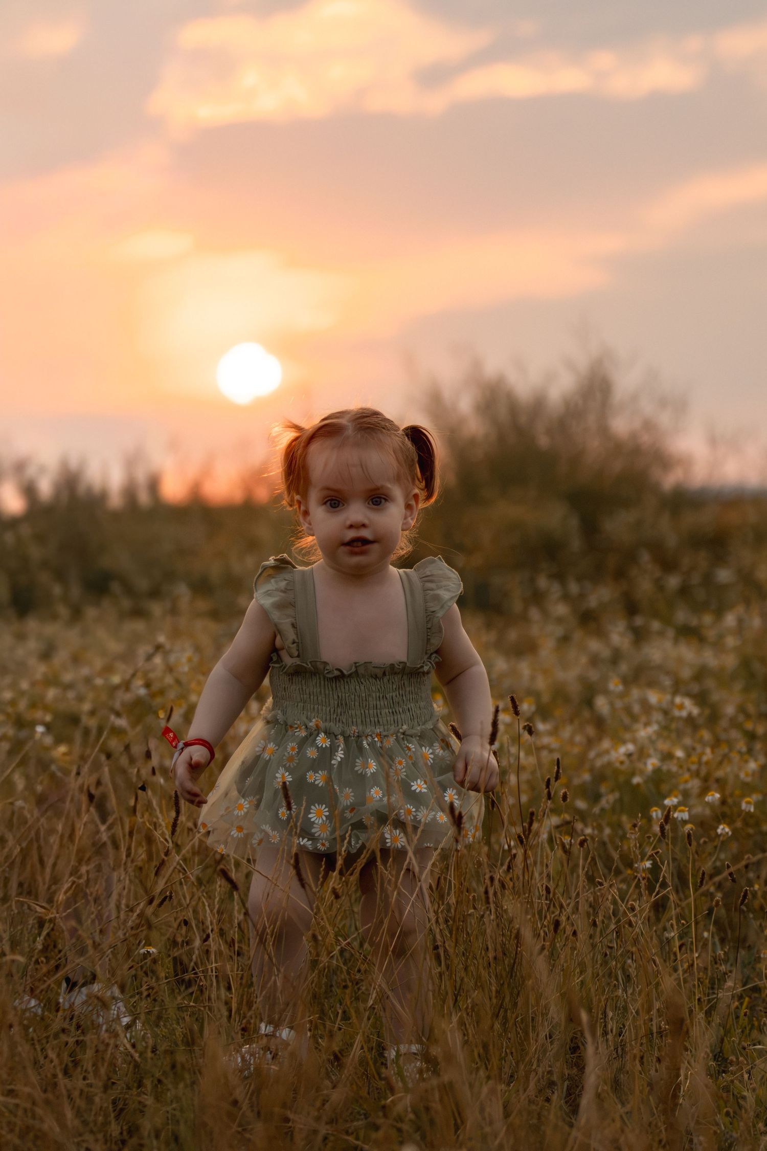 Toddler girl in floral dress standing in a golden field at sunset.