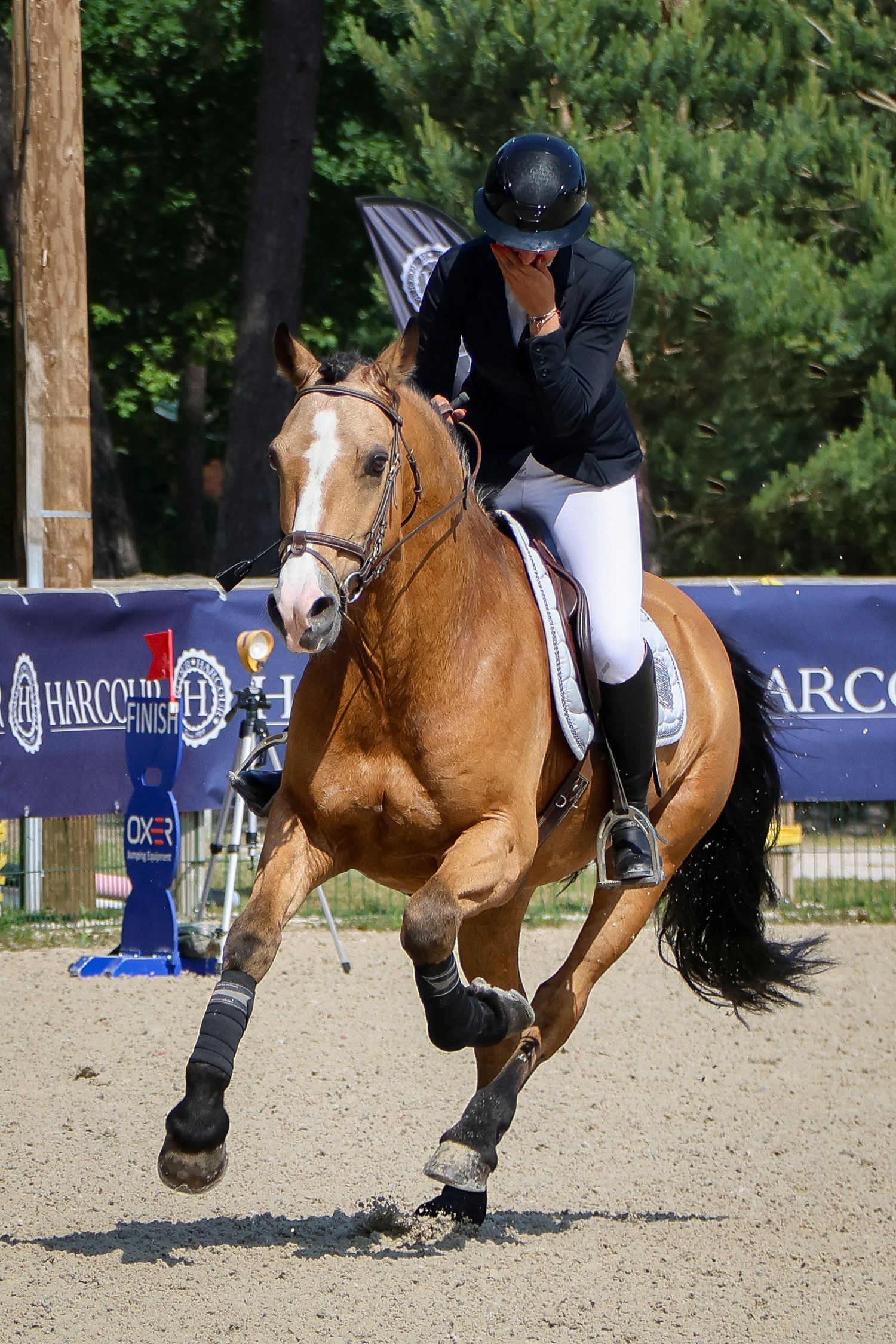 Concours de saut d'obstacle