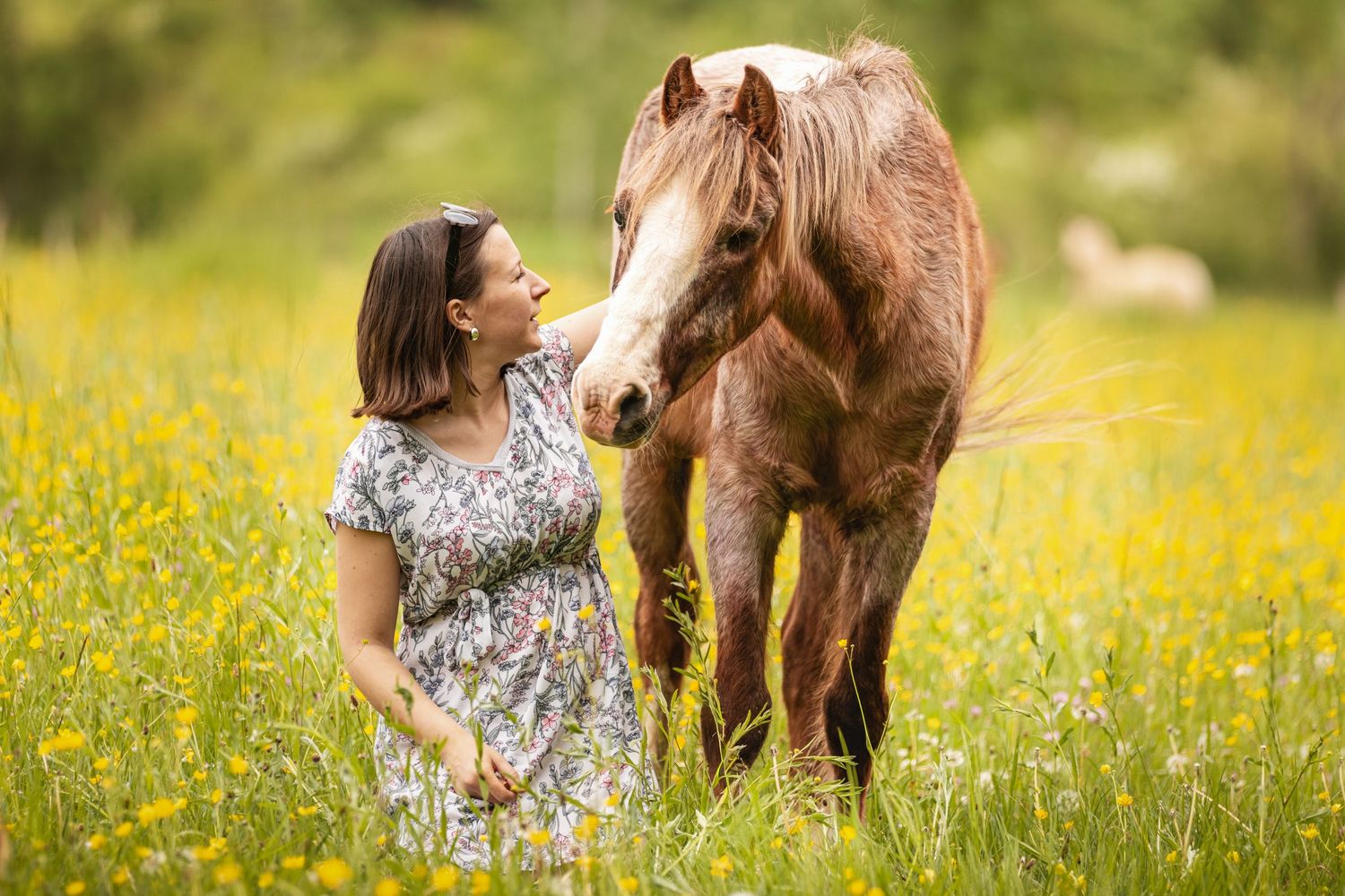 Woman in floral dress bonding with a chestnut horse in a sunny wildflower meadow.