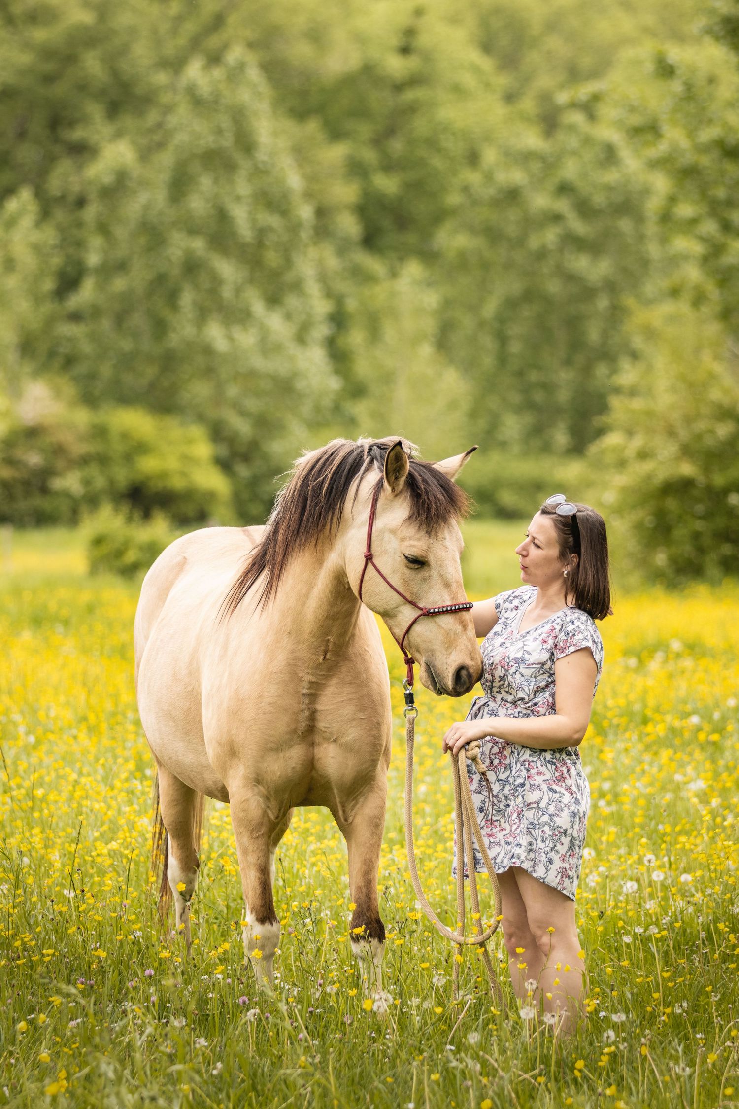 Woman in floral dress standing with a palomino horse in a sunny meadow filled with yellow wildflowers and green trees.