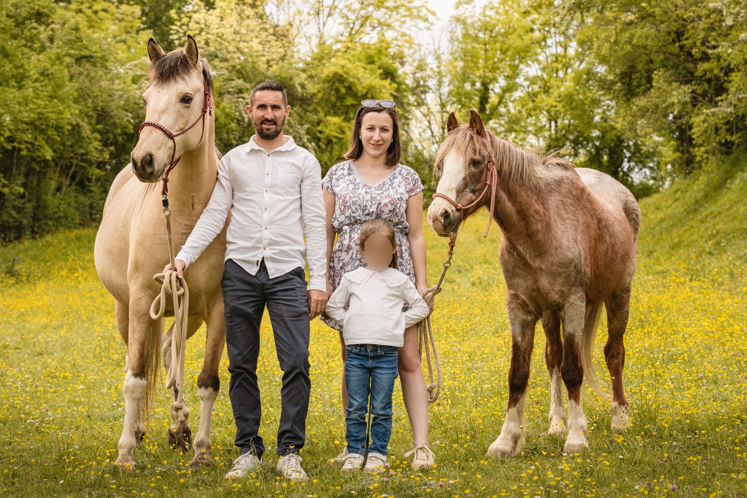 Family of three posing with two horses in a sunny meadow filled with yellow wildflowers and lush green trees.