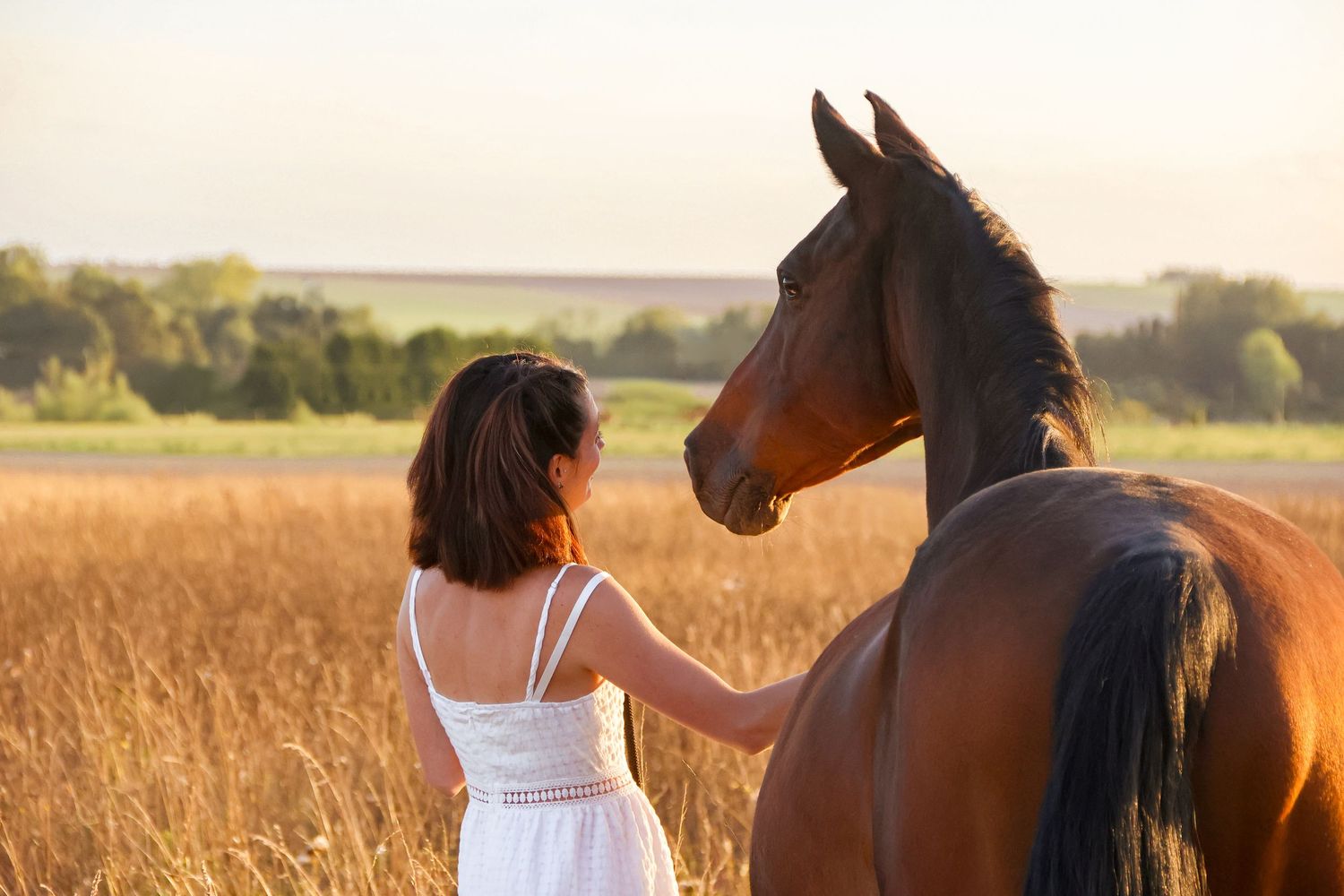 Young woman in white dress walking beside a bay horse through a golden field at sunset.