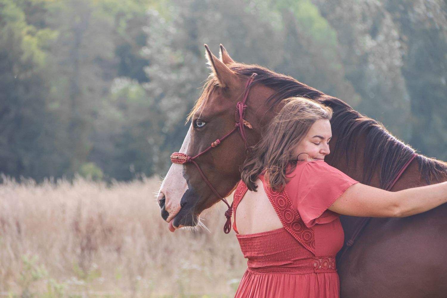 Séance animaux lifestyle — femme souriante en robe rouge serrant affectueusement son cheval alezan dans un champ doré, photographe Épernay