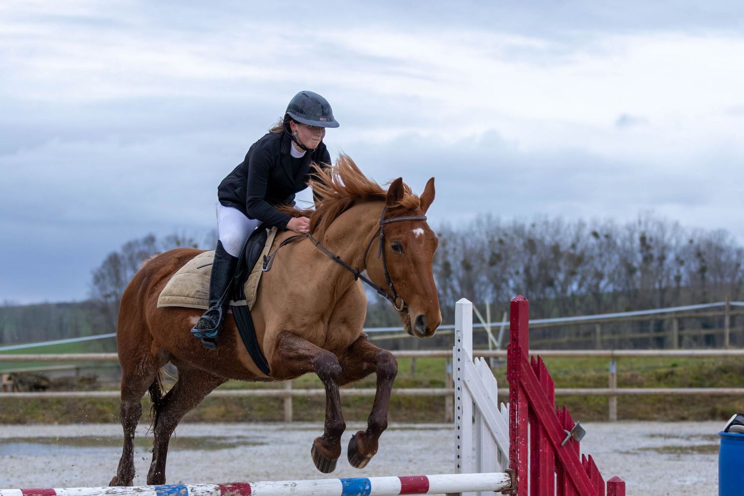 Concours de saut d'obstacle