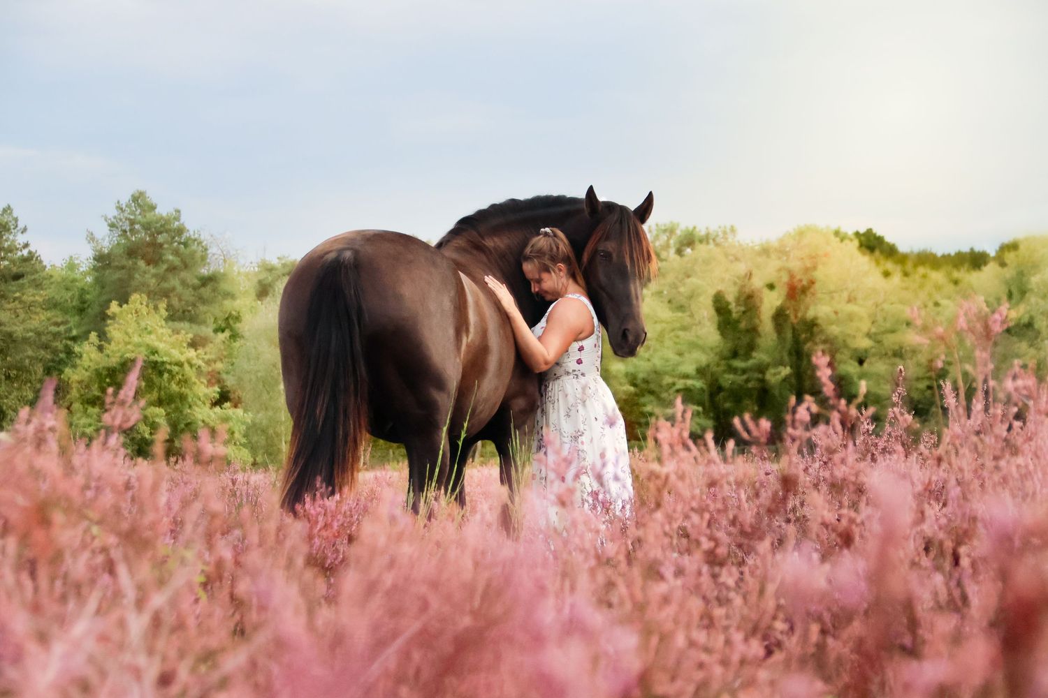 Woman in floral dress standing with dark horse in pink heather field.