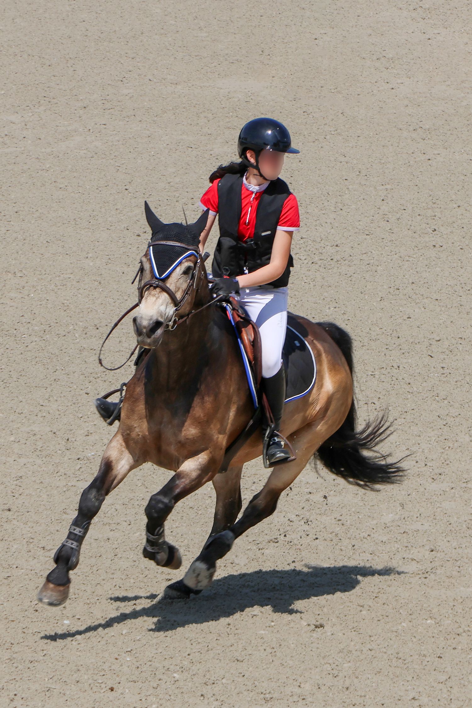 Concours de saut d'obstacle