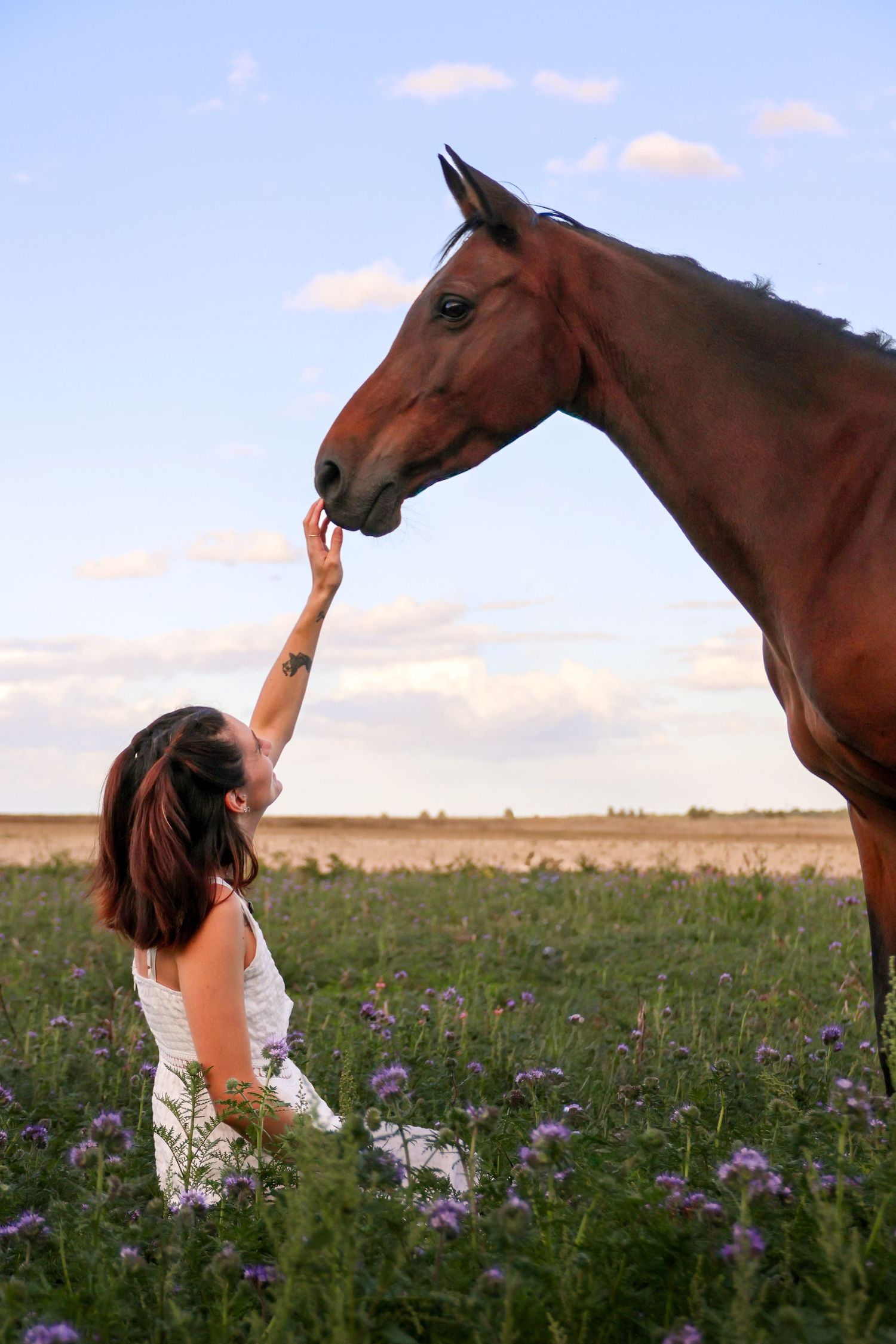Woman in white dress sits in a flower field, gently touching the nose of a brown horse under a blue sky.