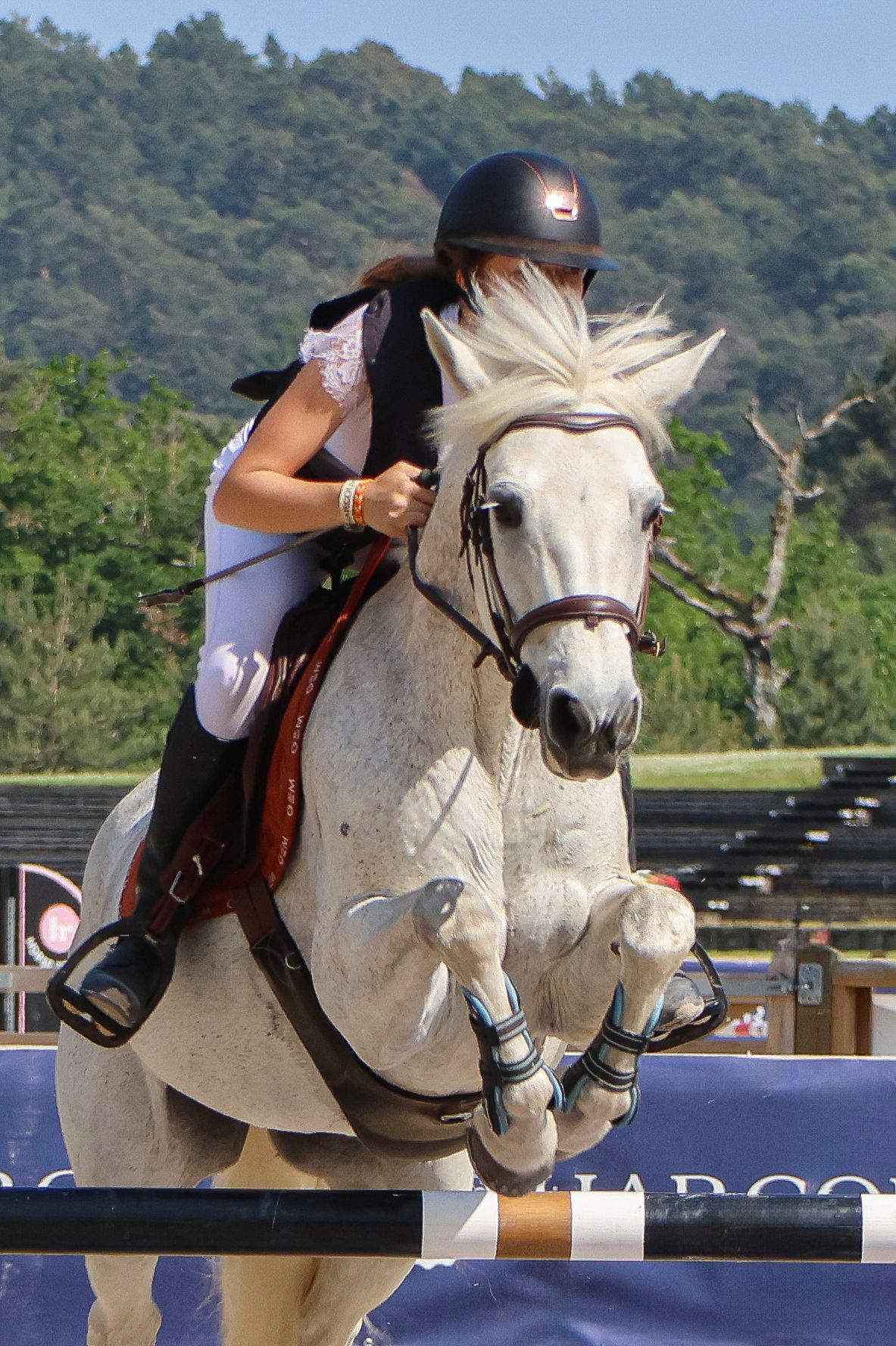 Concours de saut d'obstacle