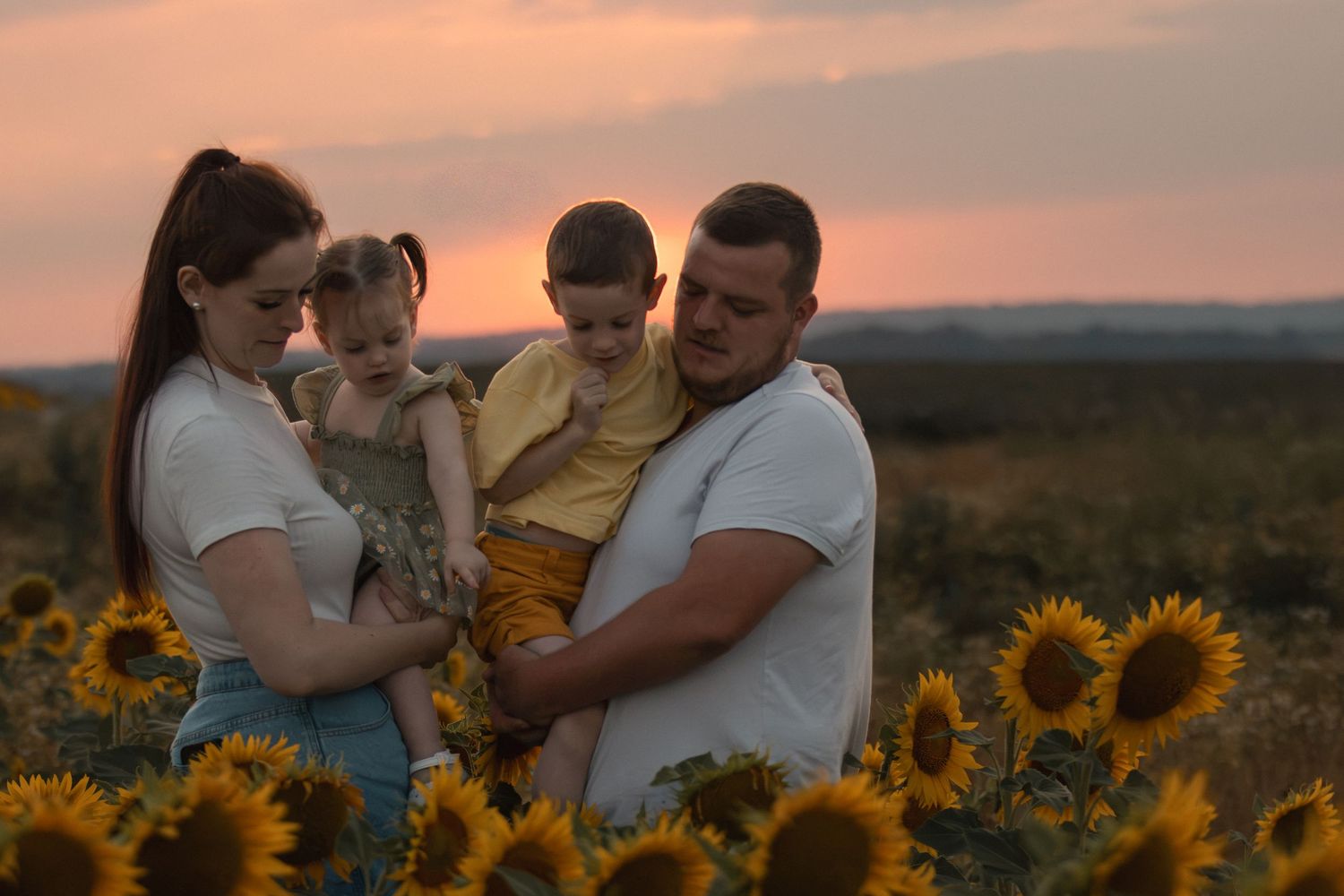 Family of four posing in a sunflower field at sunset, parents holding young children in warm golden light.