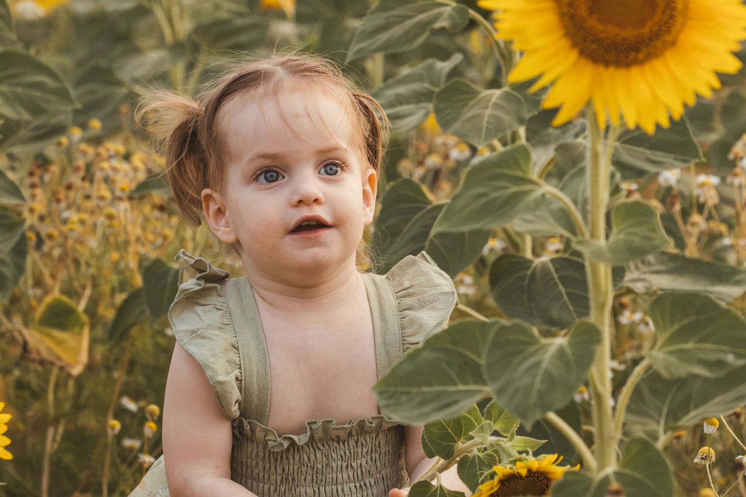 A cute toddler girl with pigtails sits among tall sunflowers in a green romper, looking up with wide blue eyes.