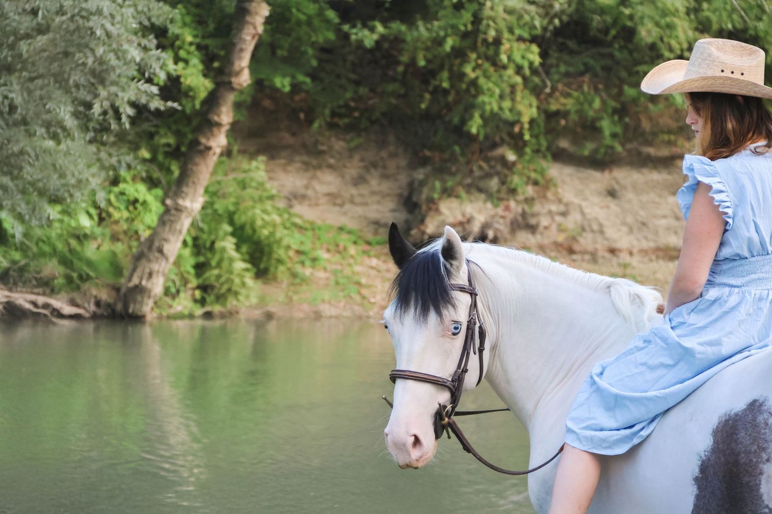 Séance animaux lifestyle — jeune fille en robe bleue à cheval blanc dans une rivière paisible, photographe Charleville-Mézières Ardennes