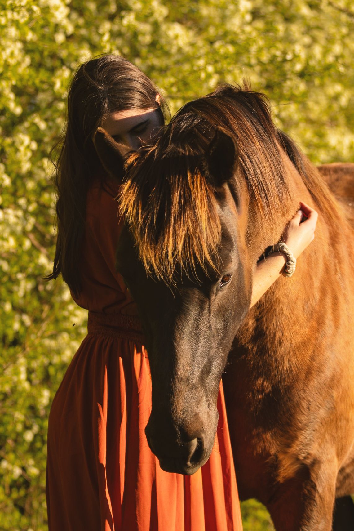 A woman in a red dress tenderly embraces a brown horse amid blooming green trees in warm sunlight.