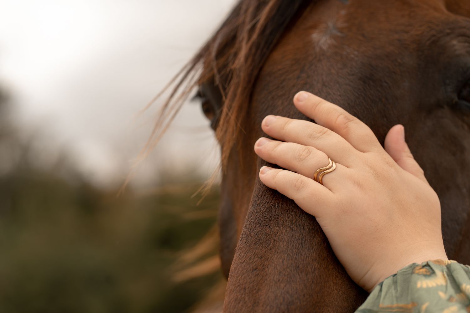 Close-up of a woman's hand with gold ring resting on a brown horse.