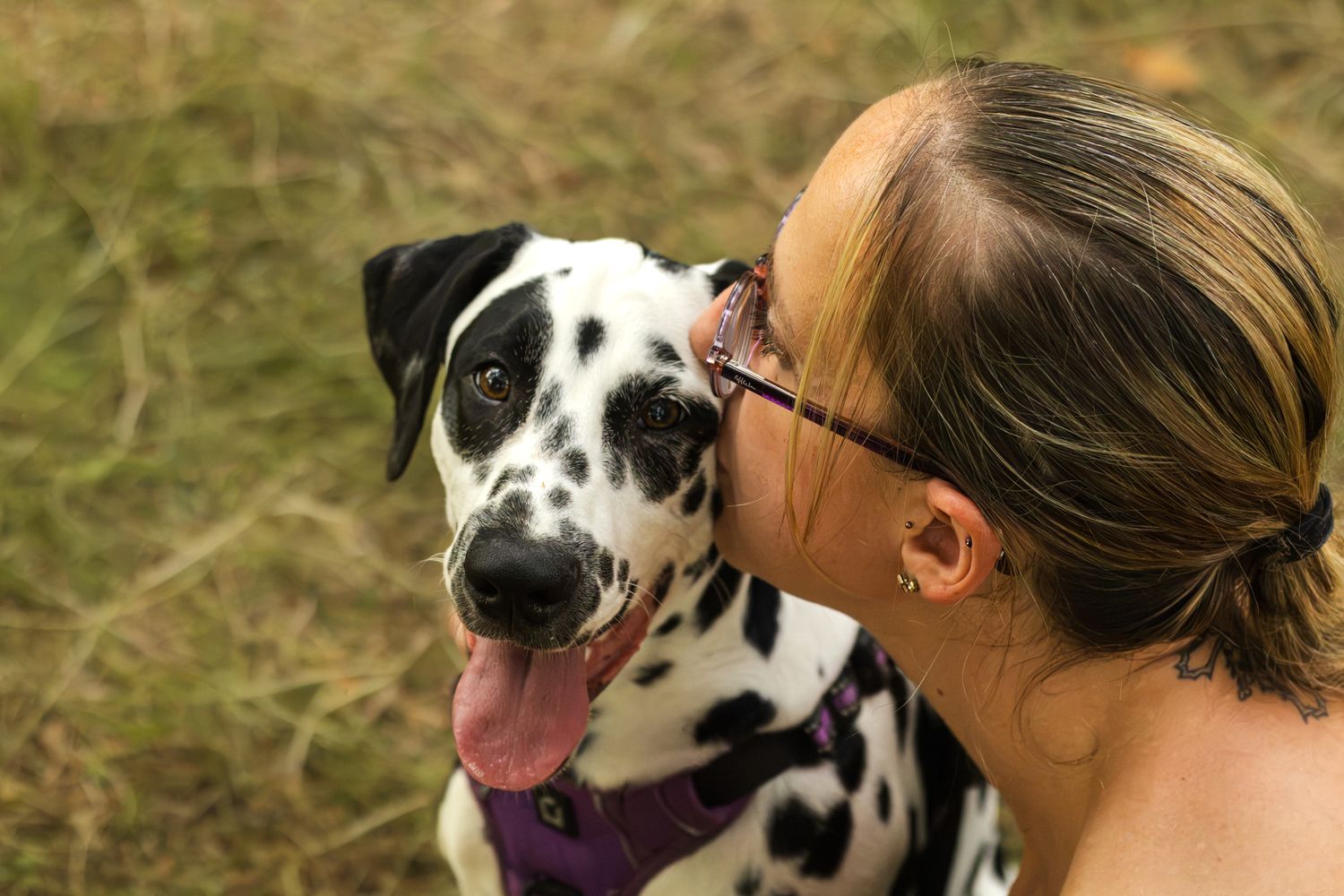 Woman with glasses kissing a happy Dalmatian dog outdoors in a grassy field.