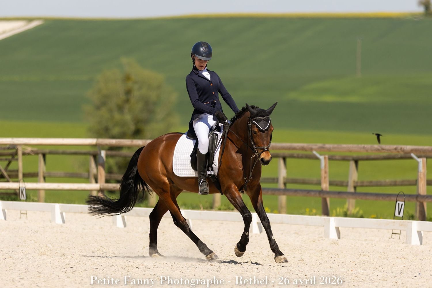 Equestrian rider in navy jacket performing dressage on a bay horse in an outdoor sand arena with green hills.