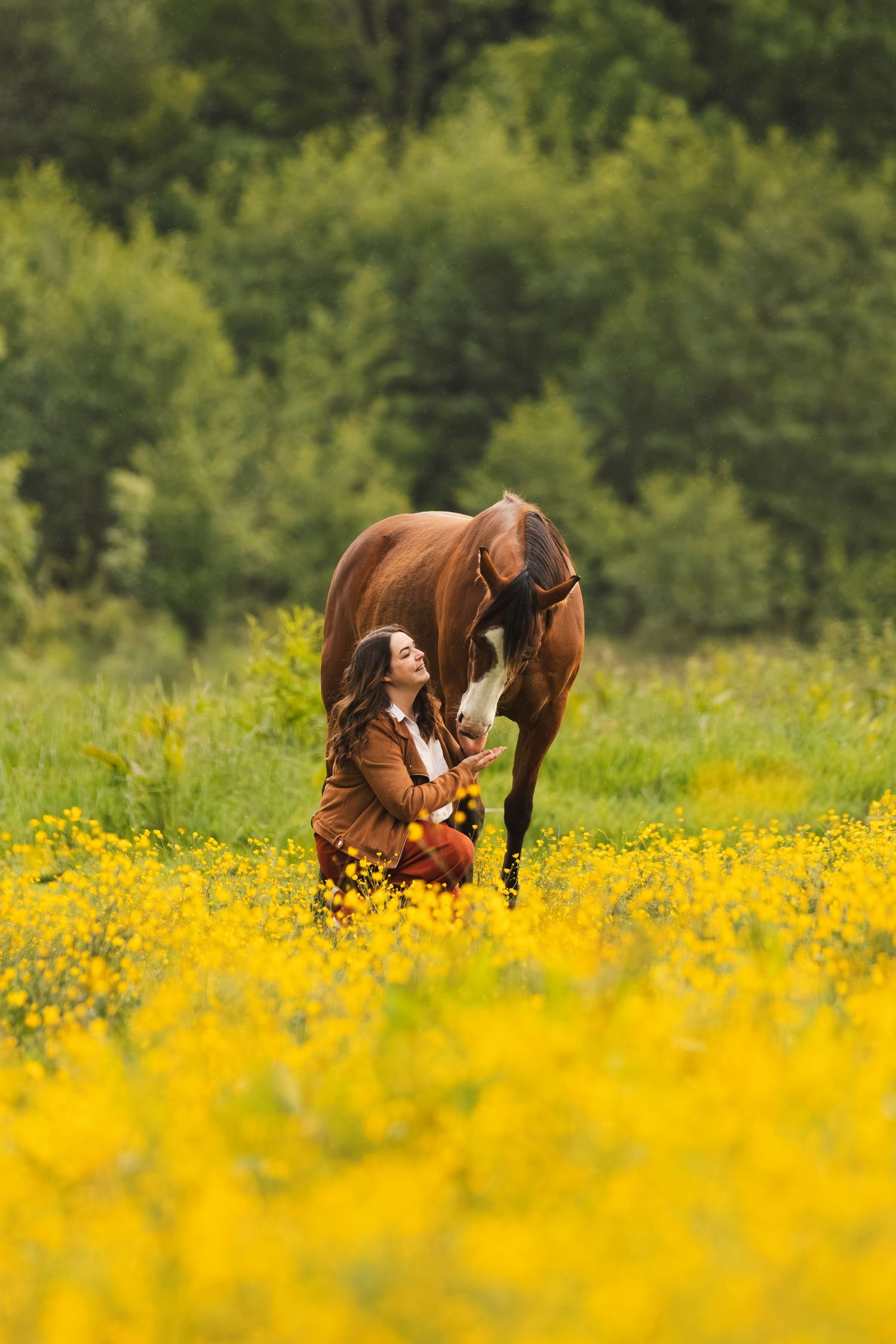Woman in brown jacket kneeling with chestnut horse in yellow wildflower meadow with green trees background.