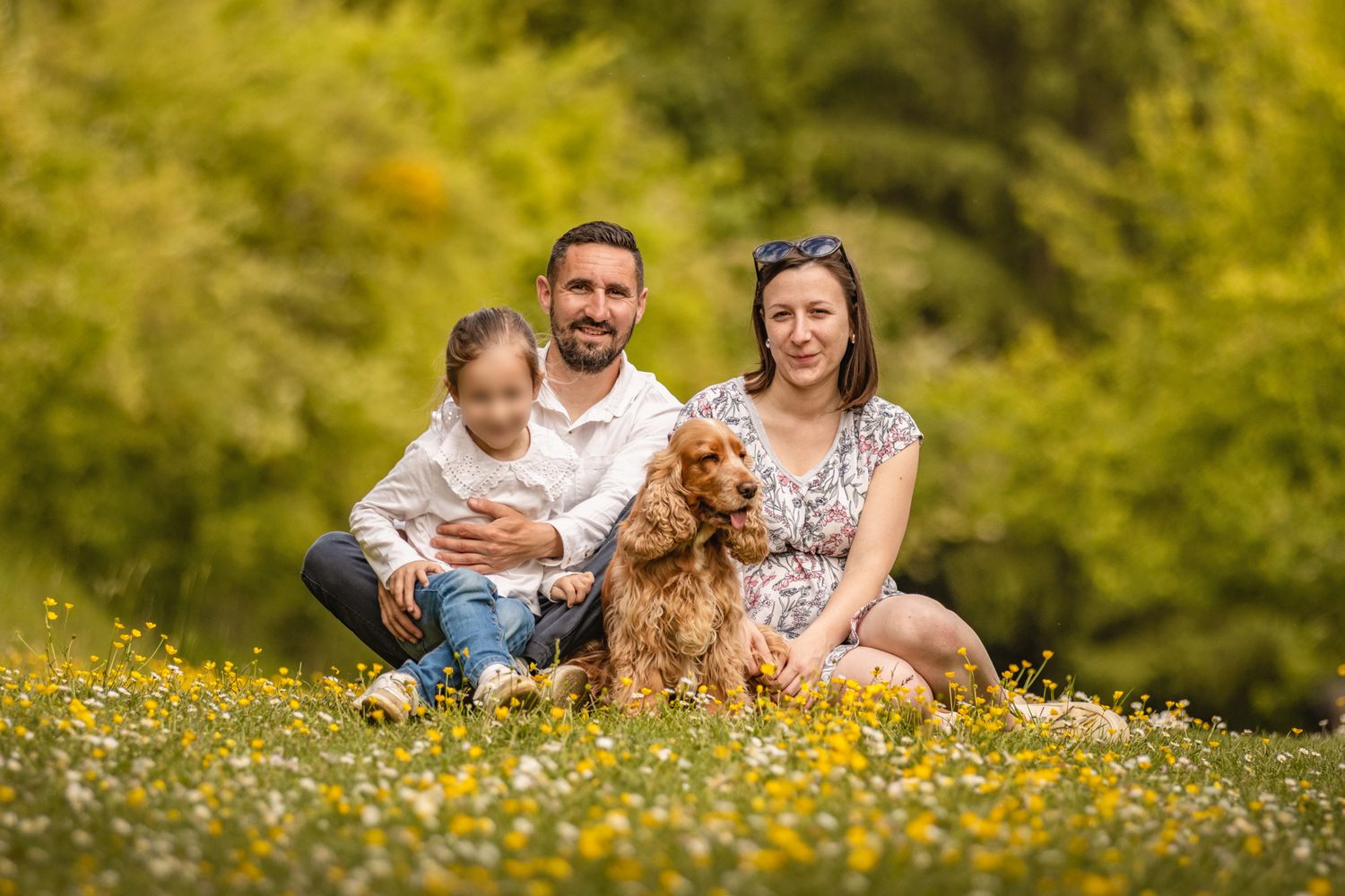 Family with young child and golden cocker spaniel sitting in a sunny meadow with wildflowers and green trees.