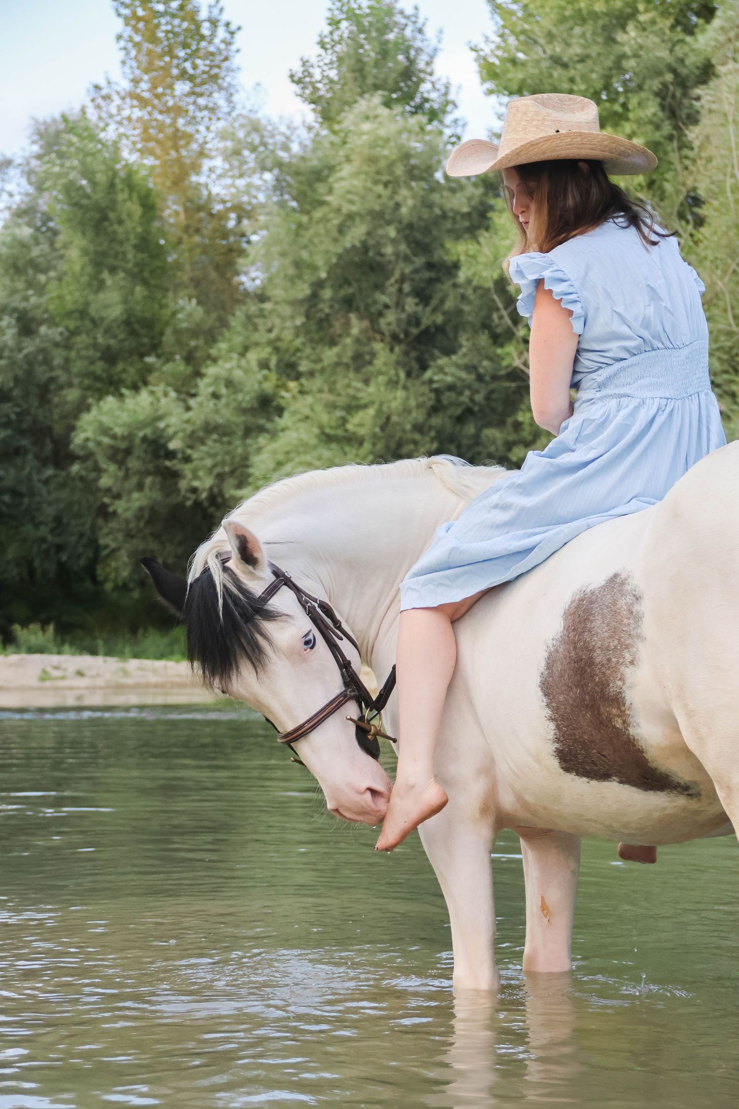Séance animaux lifestyle — femme en robe bleue et chapeau de cowboy à cheval blanc dans l'eau, photographe Aisne Guignicourt.