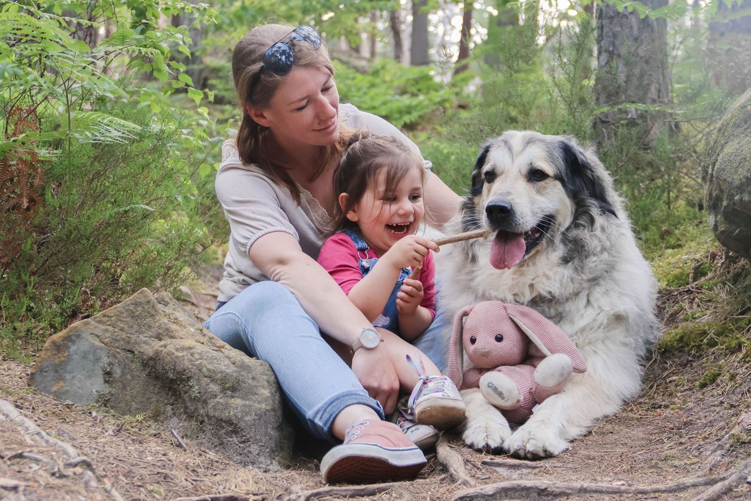 Séance chien famille — femme et petite fille assises avec leur grand chien en forêt, enfant tenant un jouet rose, photographe Guignicourt