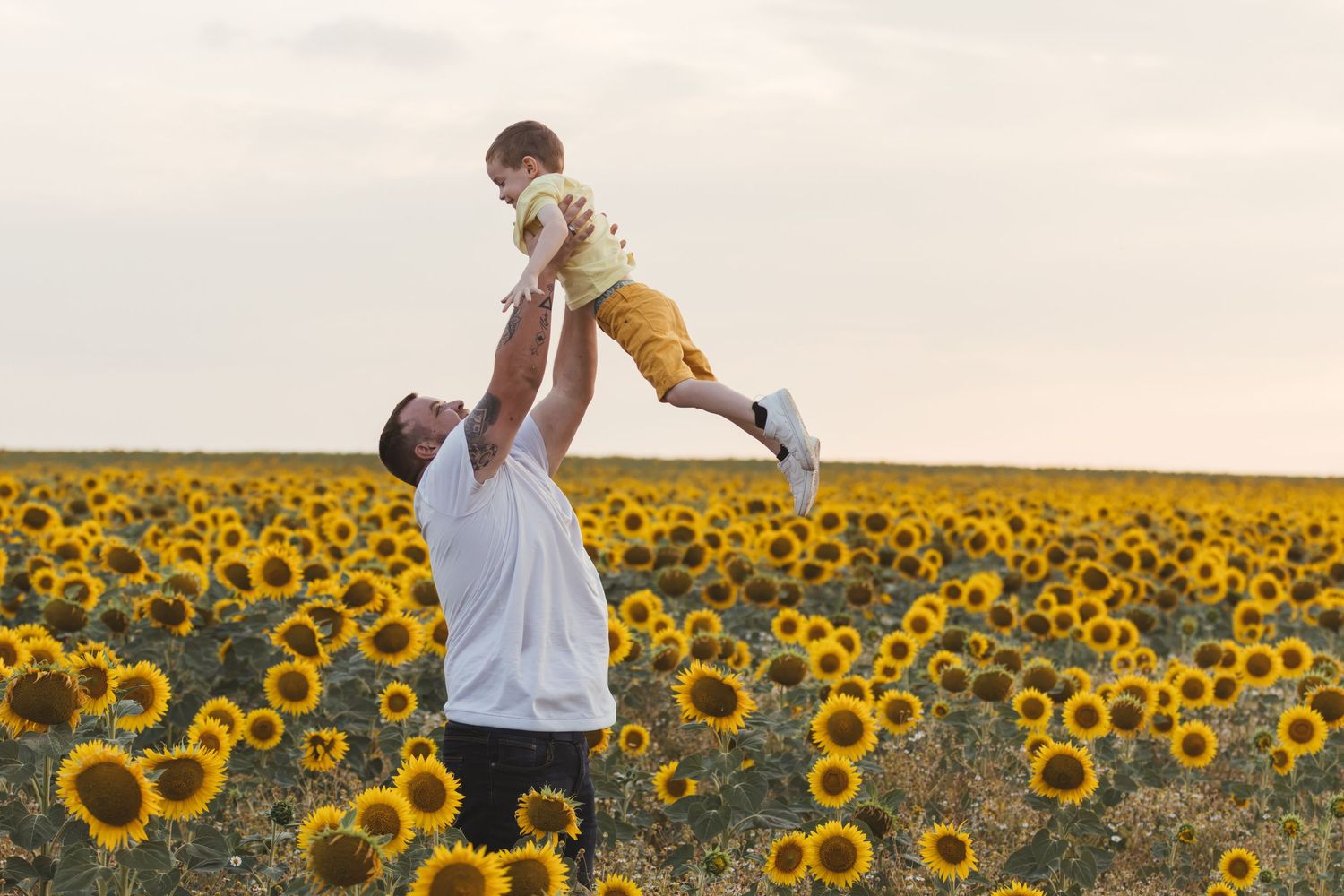 Father joyfully lifting child in sunflower field at sunset, family fun outdoor moment.