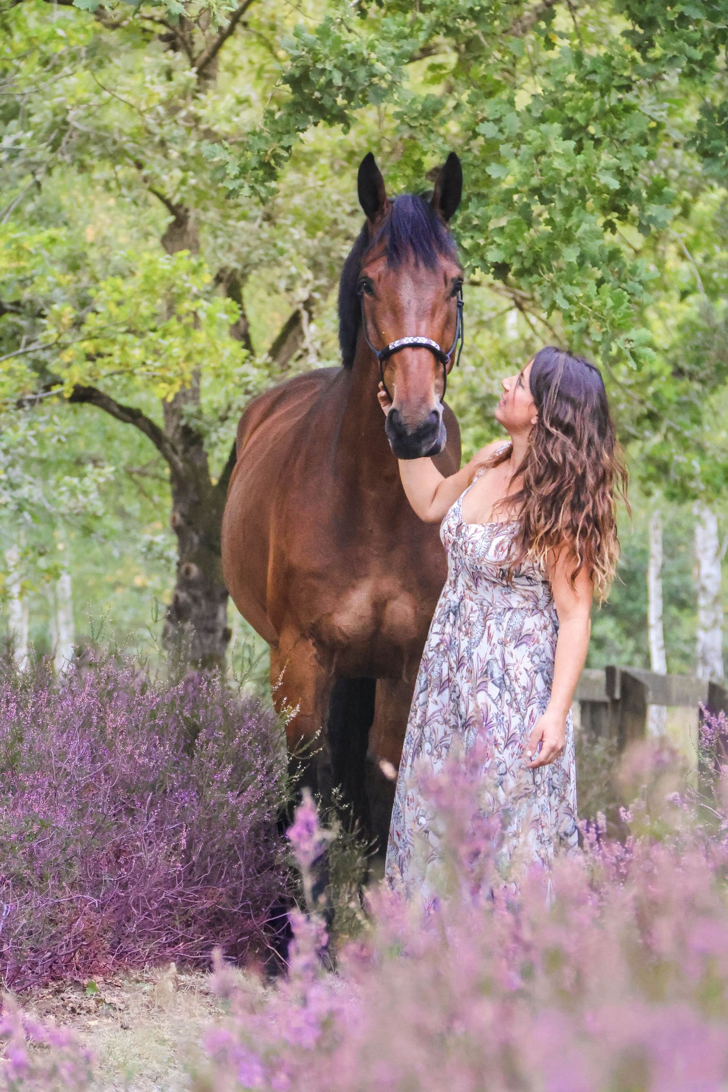 Séance lifestyle animaux — femme en robe fleurie caressant tendrement son cheval bai dans les bruyères violettes, photographe Aisne.