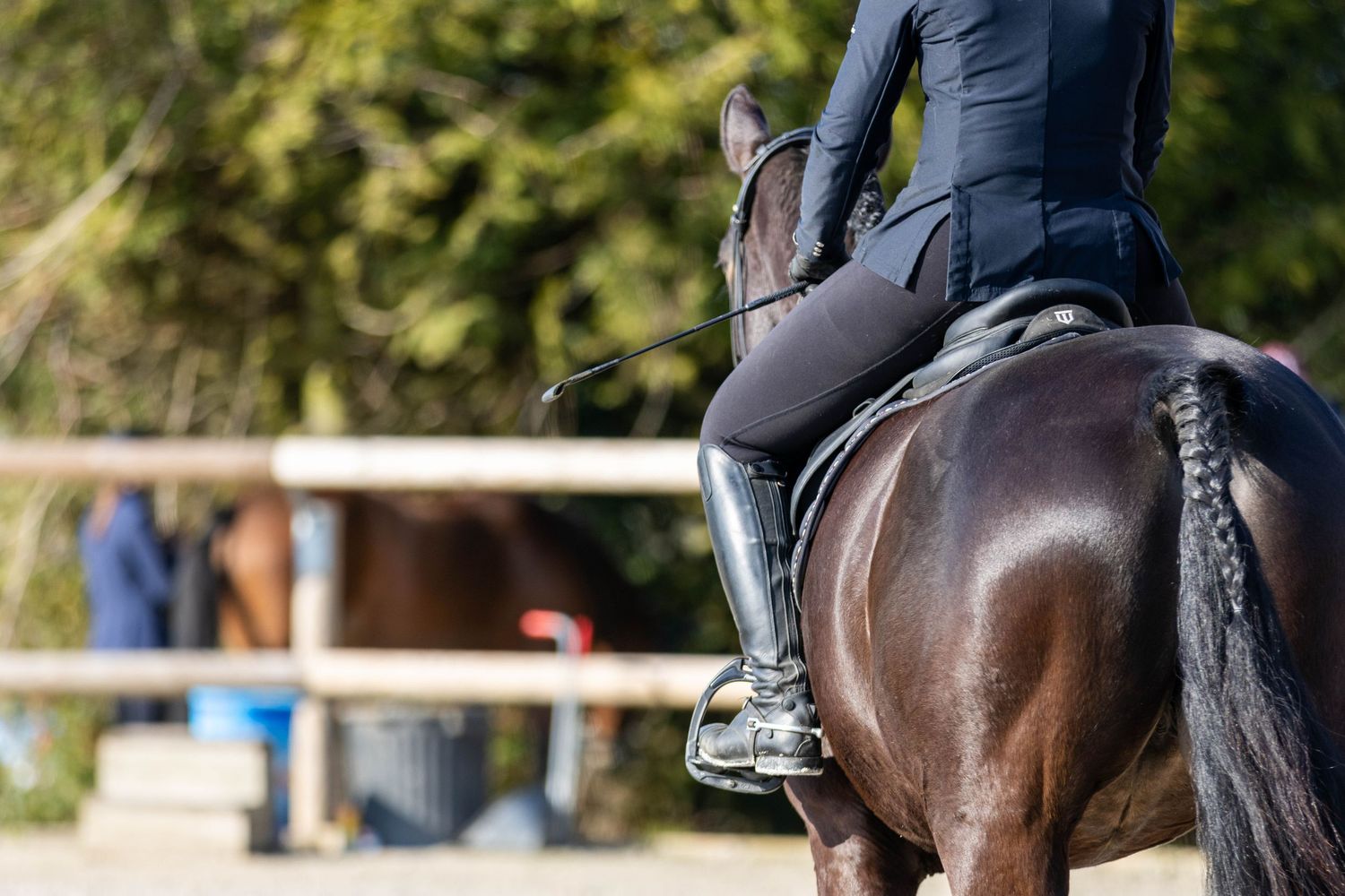 Cavalière en tenue noire sur un cheval foncé lors d'une séance de dressage en extérieur