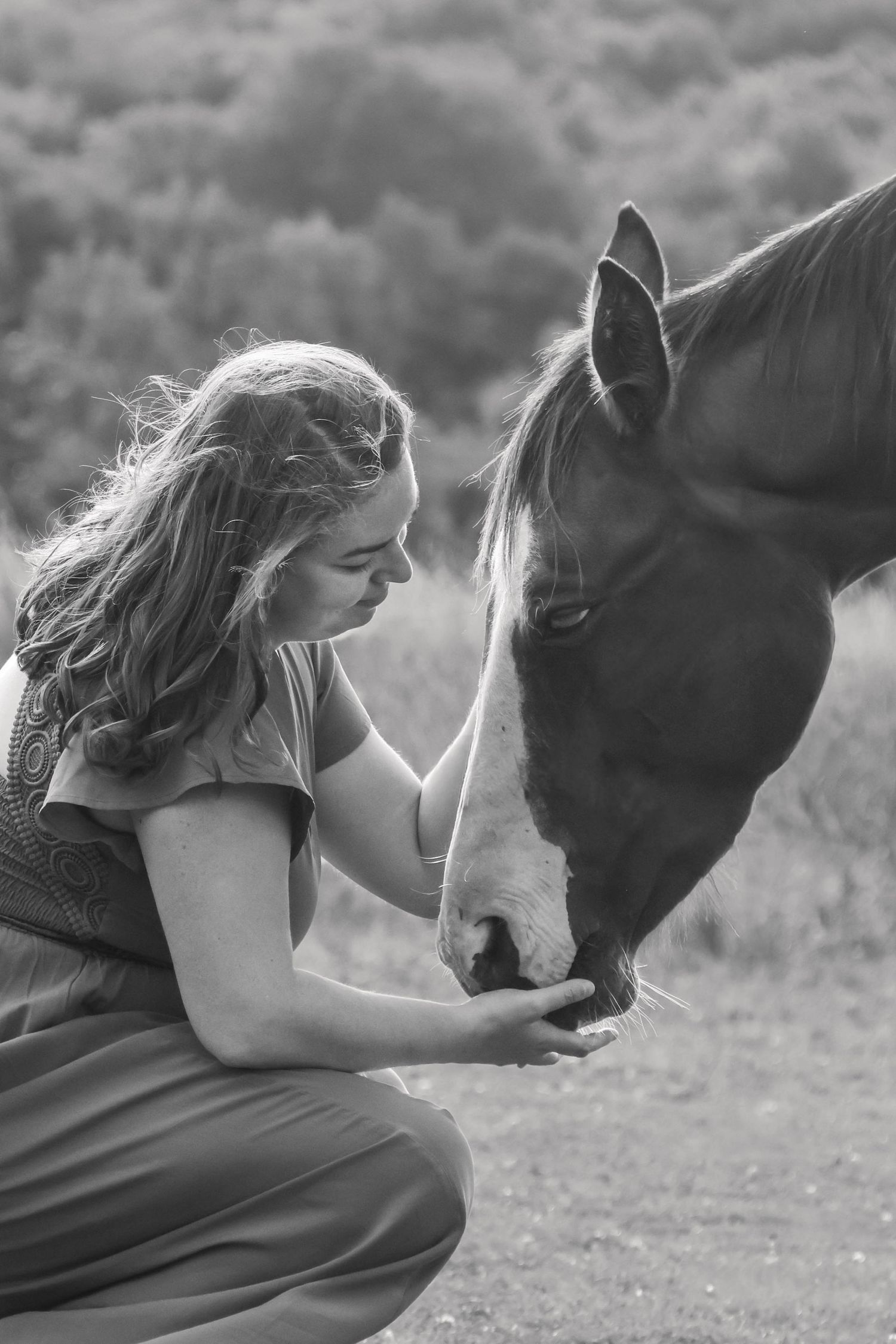 Séance animaux — photo noir et blanc jeune femme donnant à manger à son cheval brun en extérieur, photographe Laon Aisne.