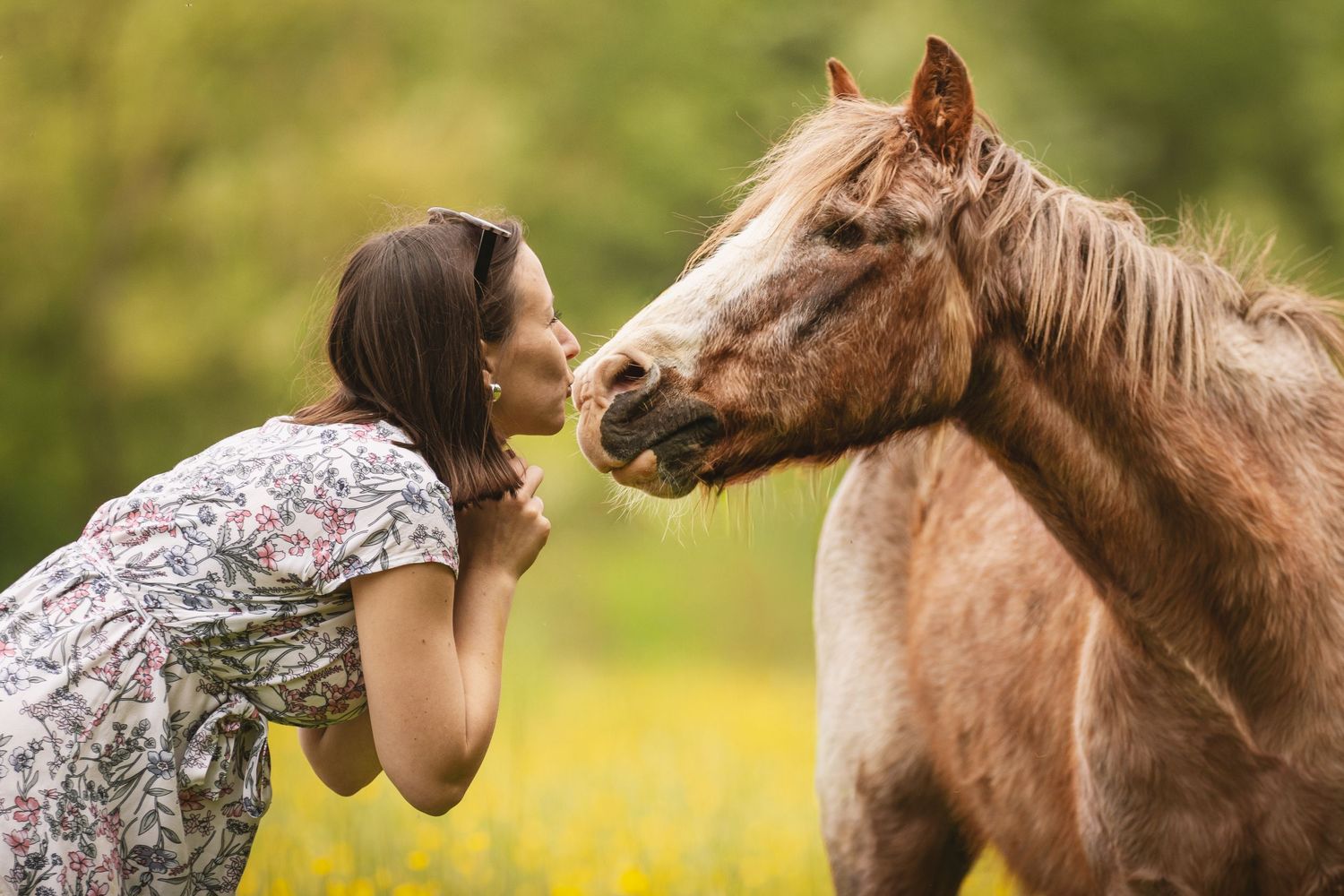 A young woman in a floral dress leans in to kiss a brown horse in a sunny green meadow.